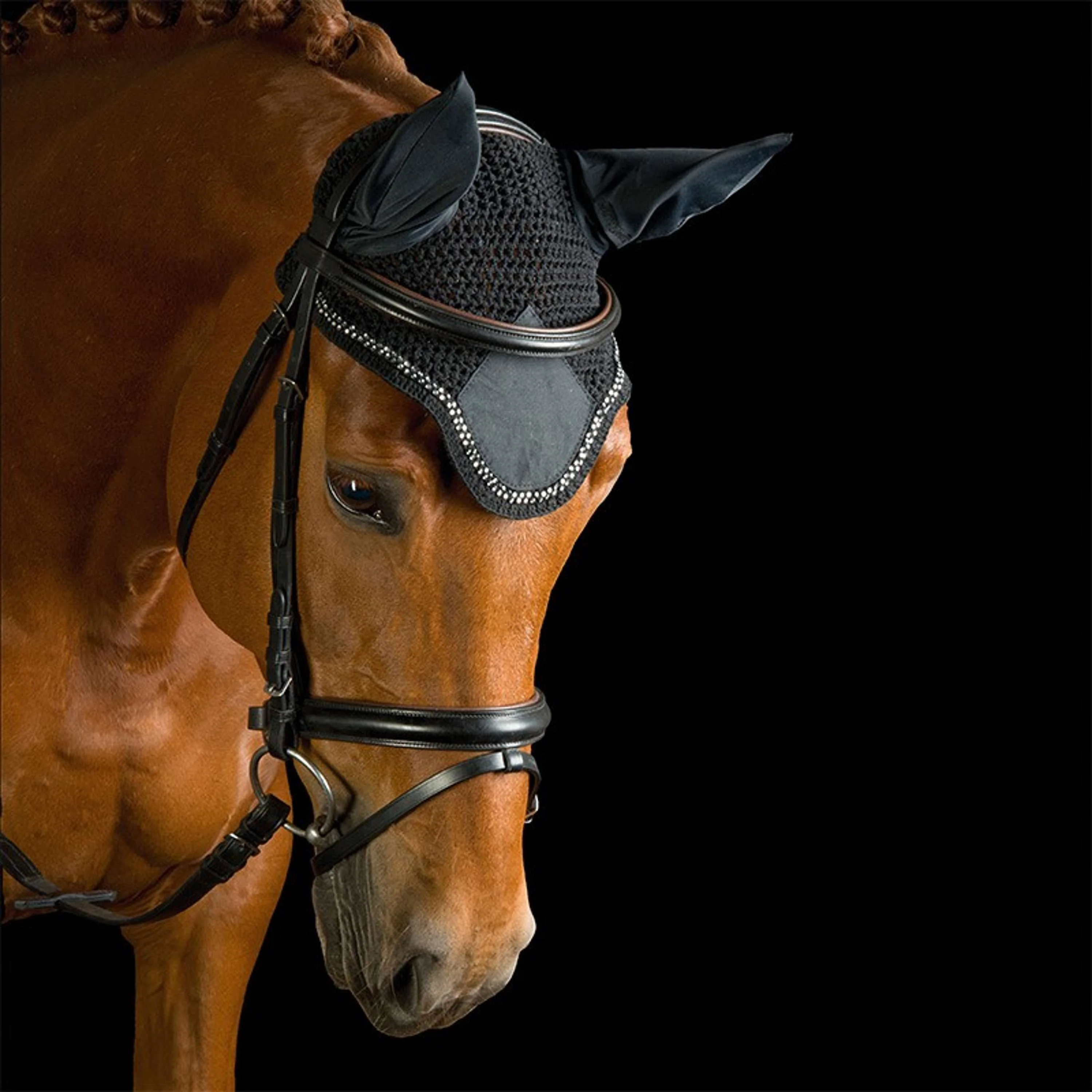 Kavalkade Bonnet Anti-Mouches avec Fausses Pierres Noir - Image 2