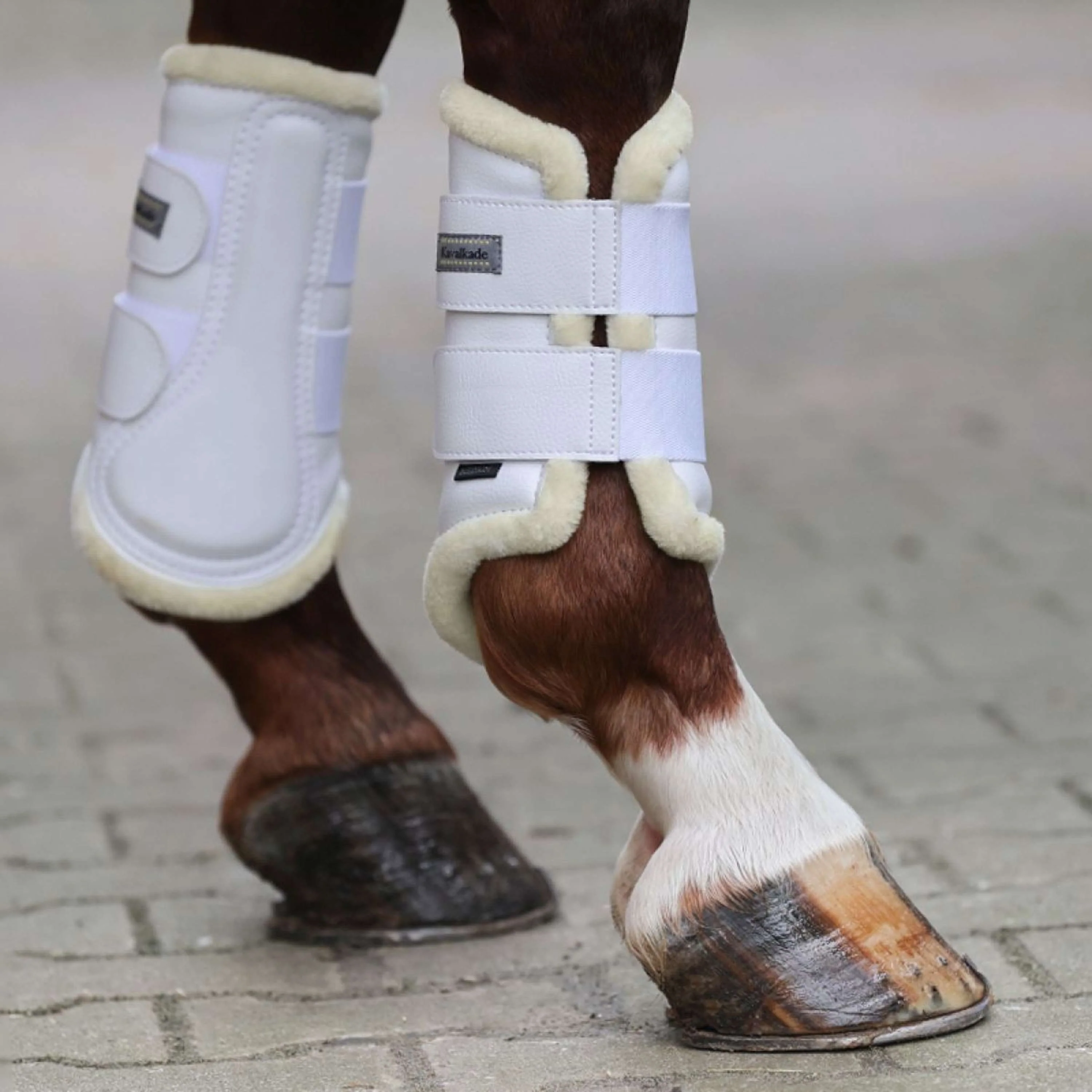 Kavalkade Dressage Boots avec Fausse Fourrure Blanc - Image 8