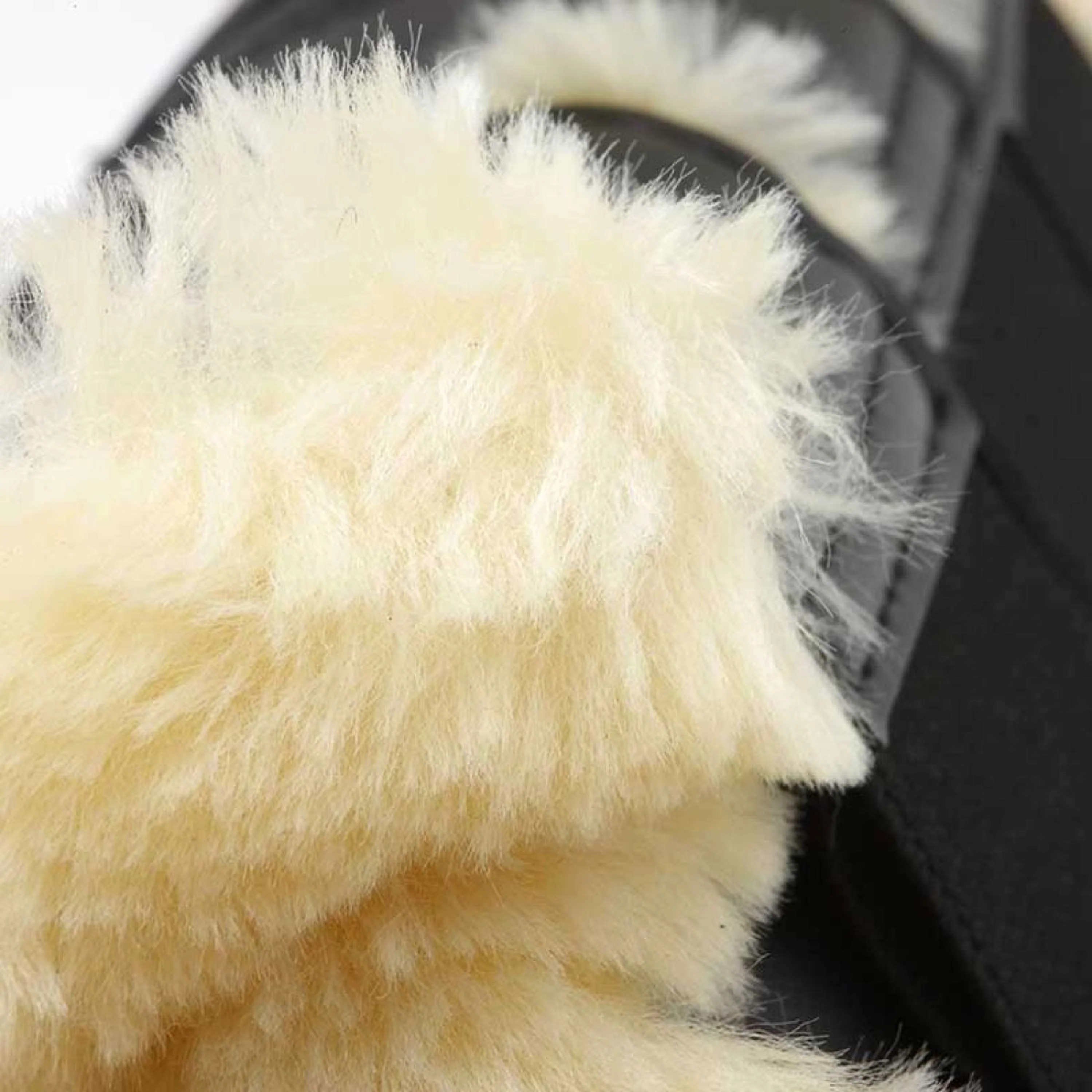 Kavalkade Dressage Boots Show Similicuir Blanc - Image 3