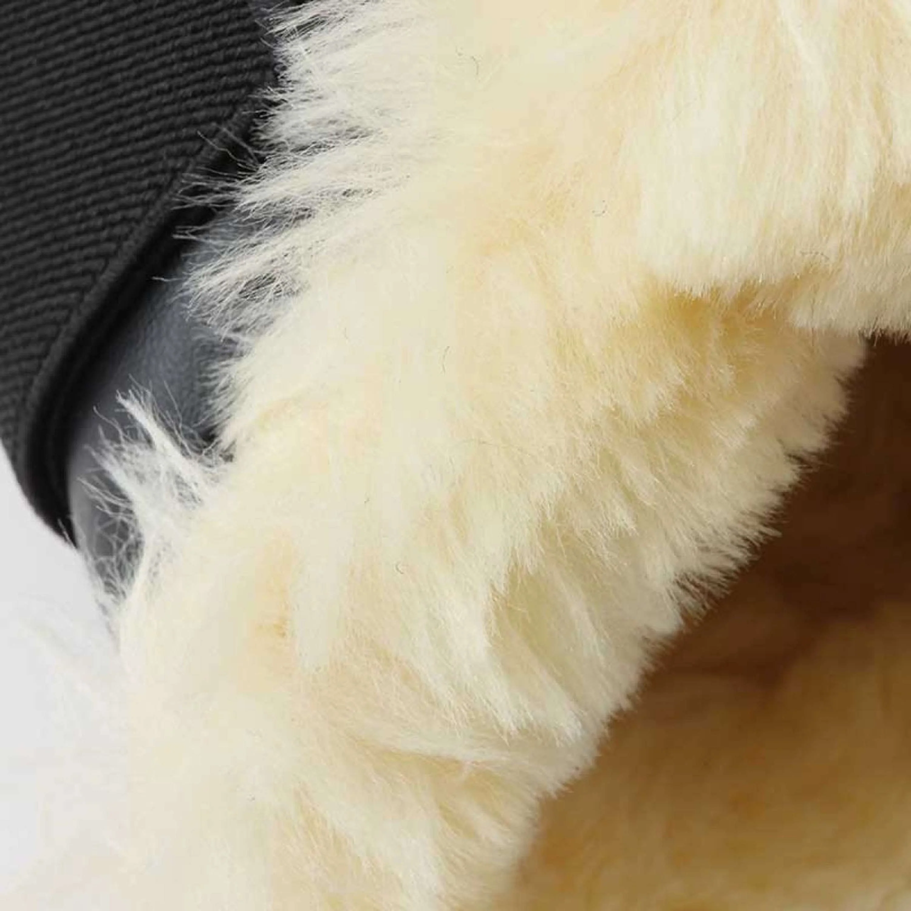 Kavalkade Dressage Boots Show Similicuir Blanc - Image 4
