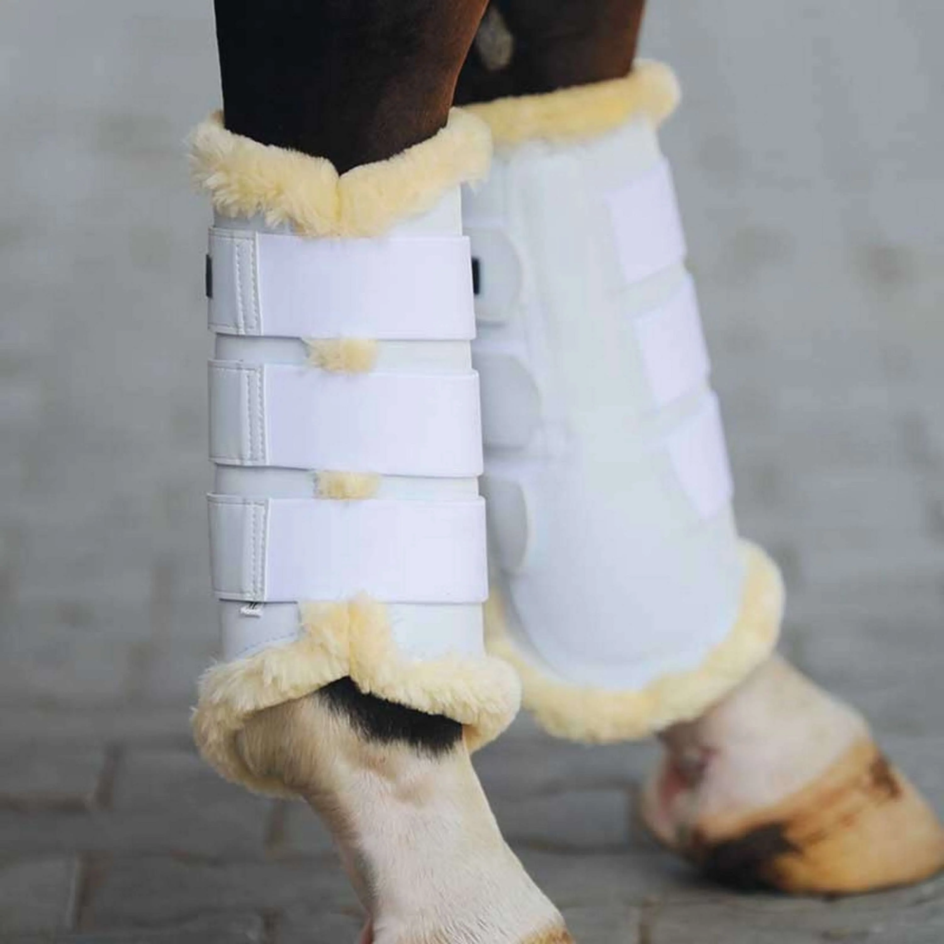 Kavalkade Dressage Boots Show Similicuir Blanc - Image 6