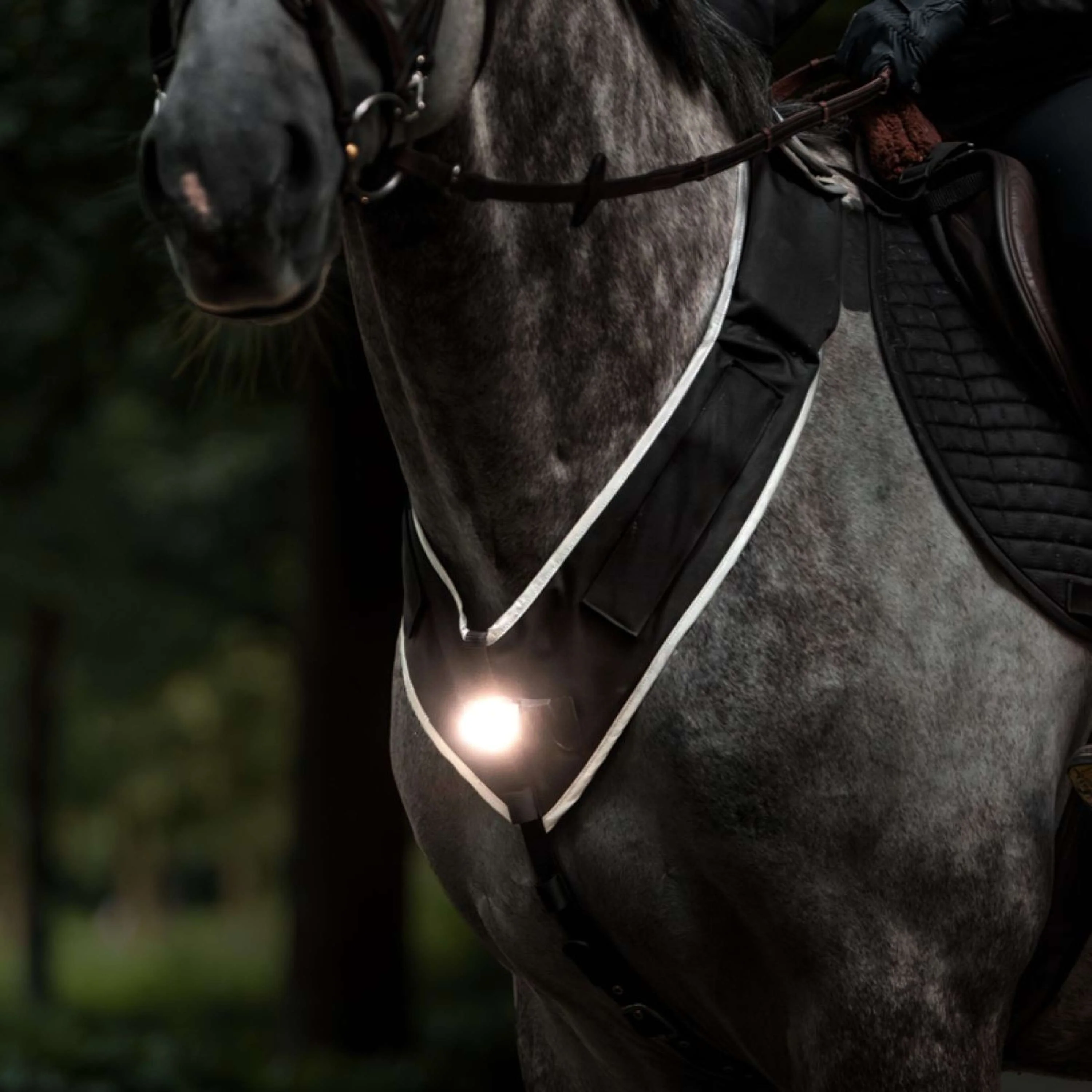 Kavalkade Collier de Chasse Horselight Noir/Gris - Image 4