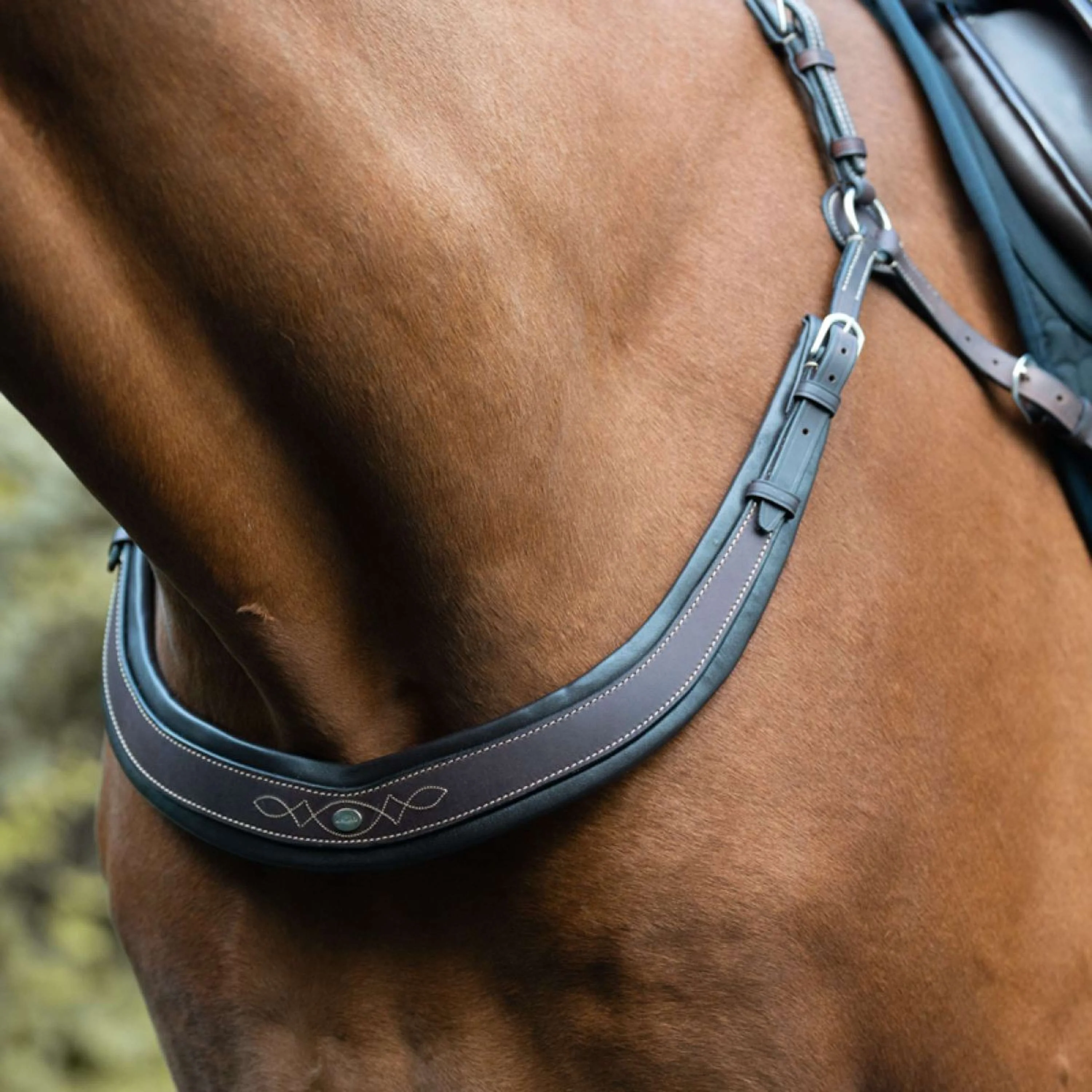 Kavalkade Collier de Chasse Jerome 2-Points Marron - Image 6