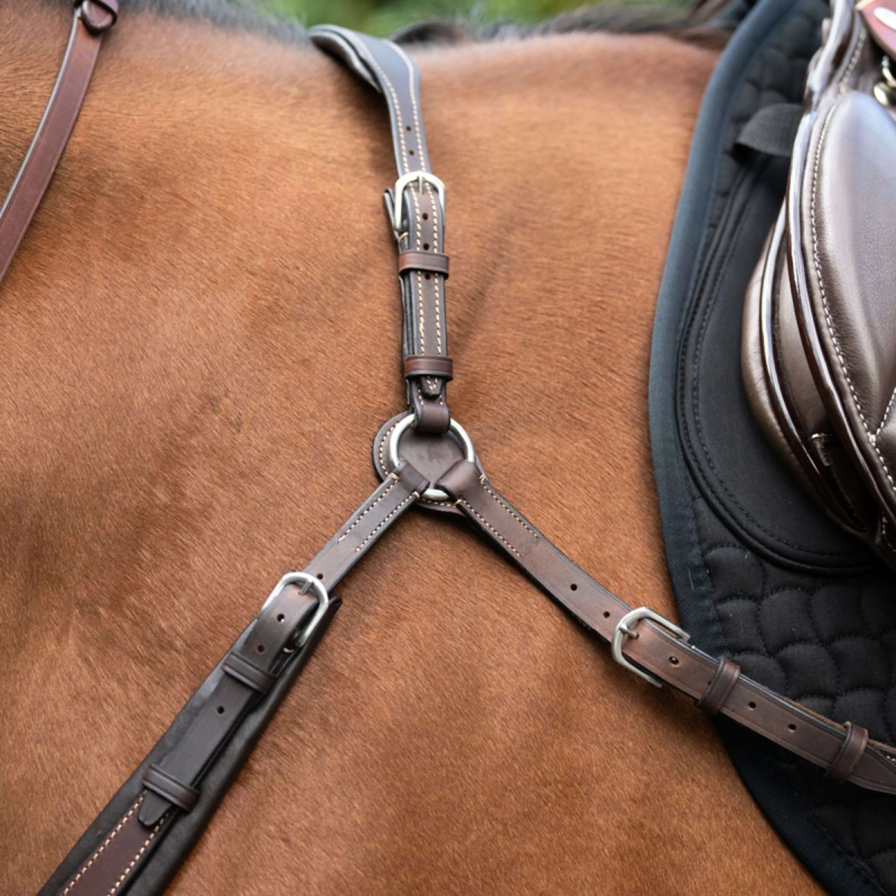 Kavalkade Collier de Chasse Jerome 2-Points Marron - Image 7