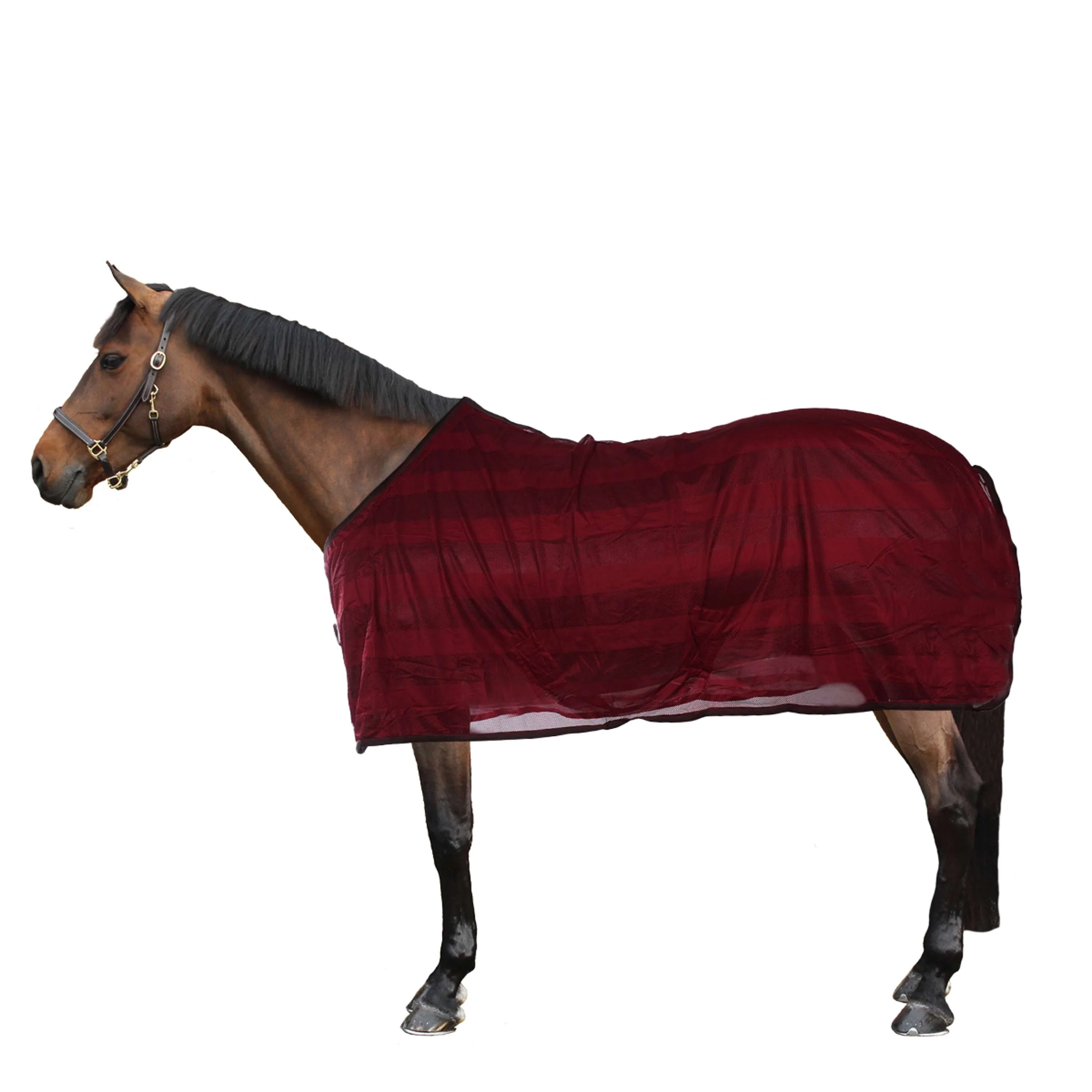 Kavalkade Couverture Anti-Mouches Stripe Bordeaux - Image 2