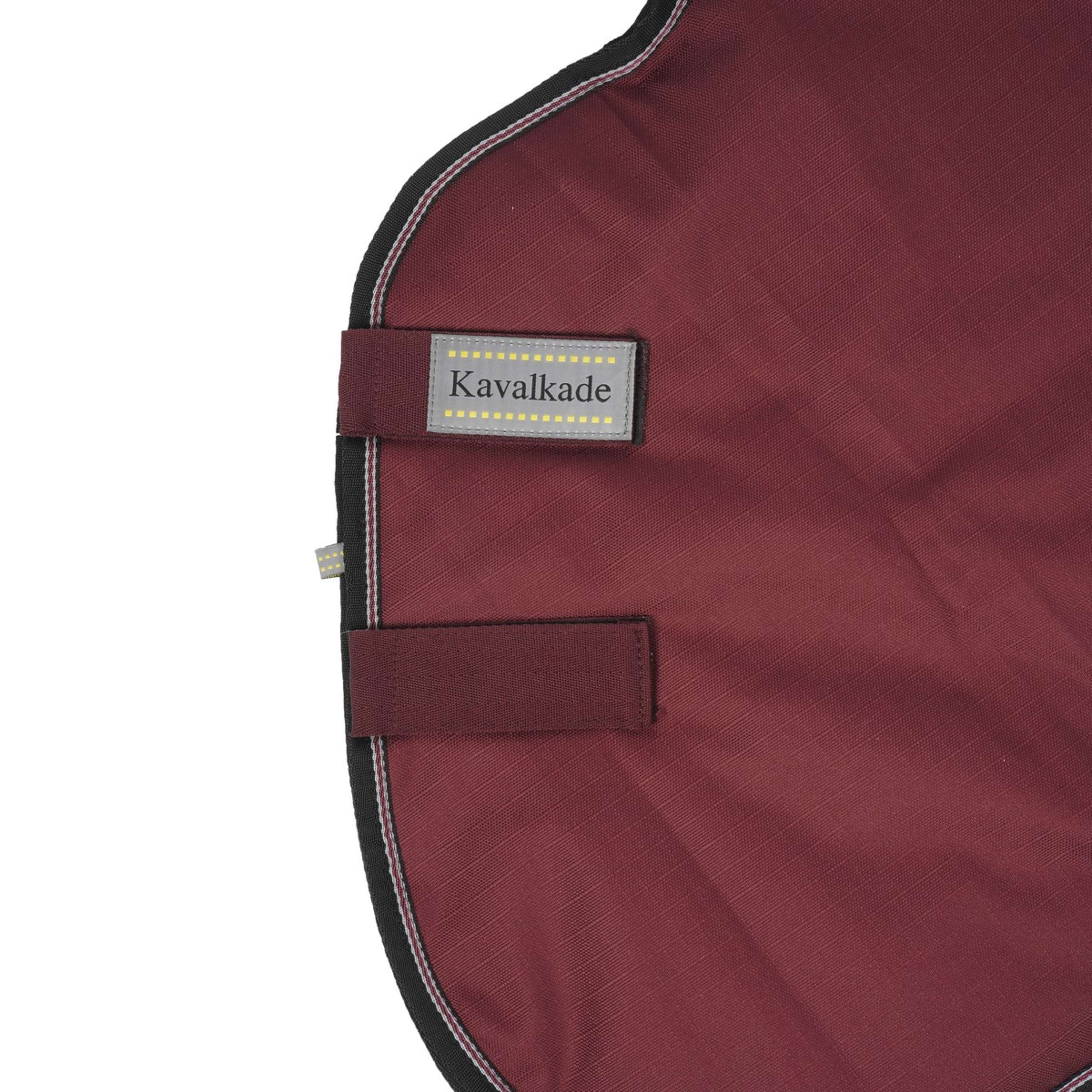 Kavalkade Couvre-Cou Alaska IV 100g Bordeaux - Image 2