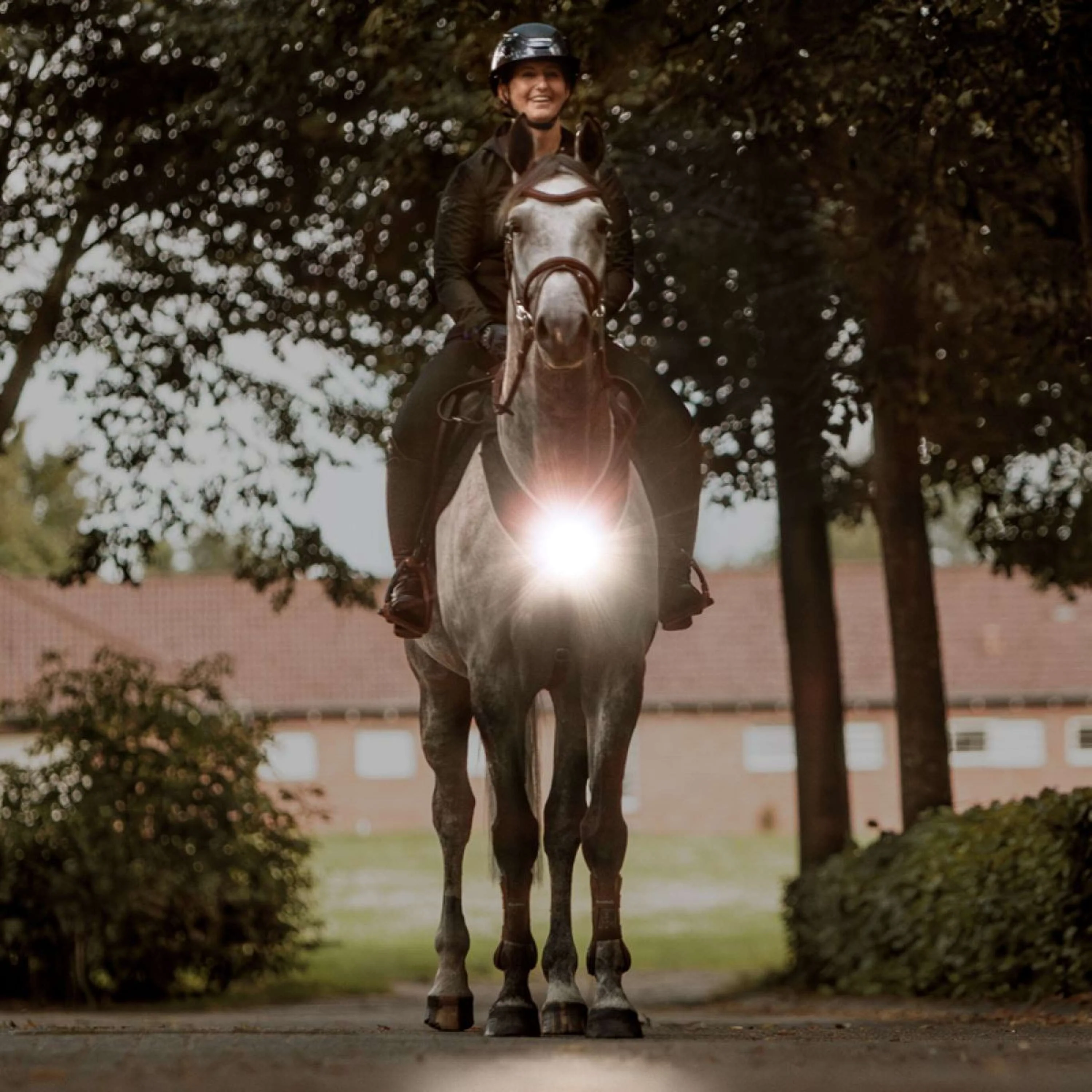 Kavalkade Cuirasse/selle Horselight Noir/Gris - Image 2