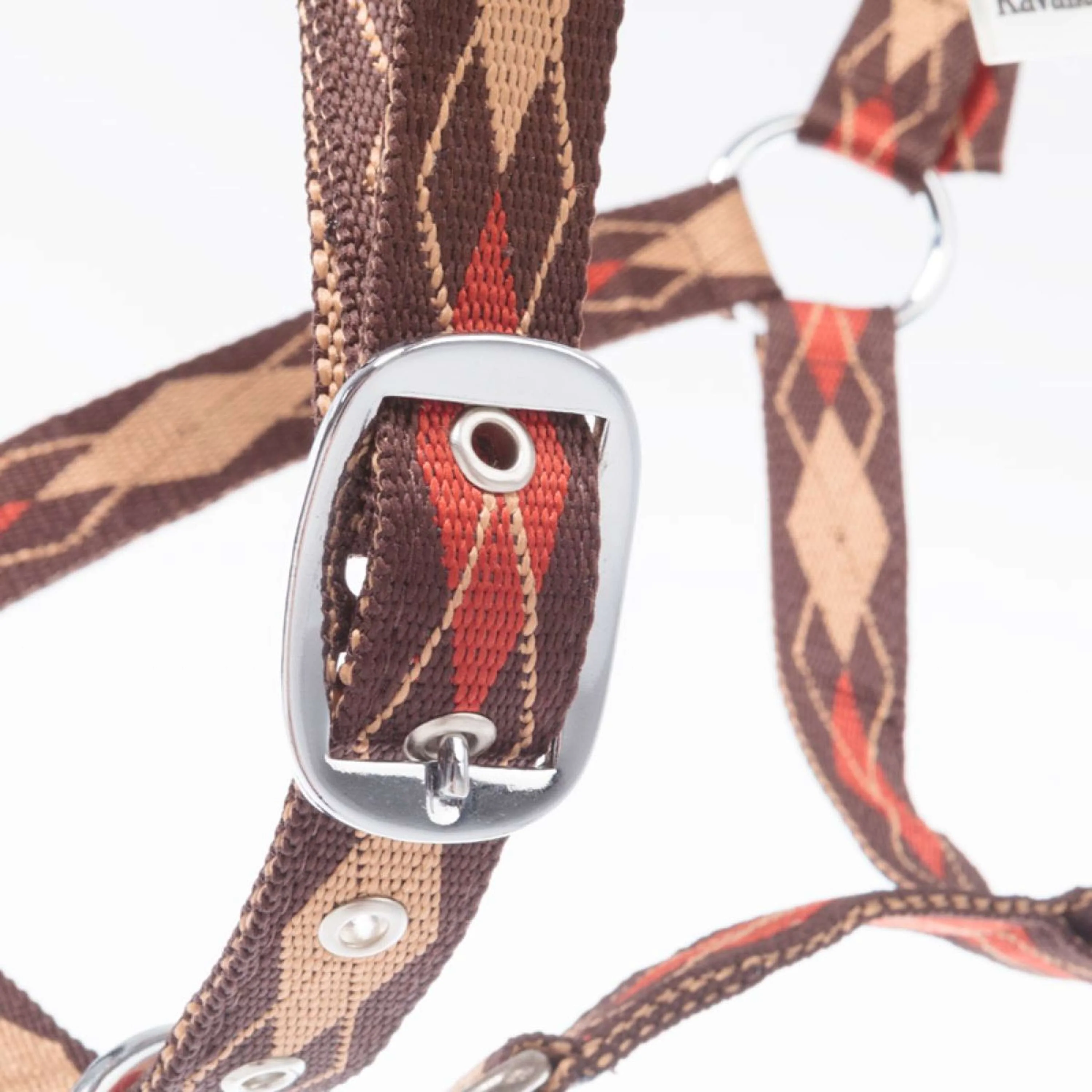 Kavalkade Licol Classic Raute Marron/Marron Clair/Orange - Image 4