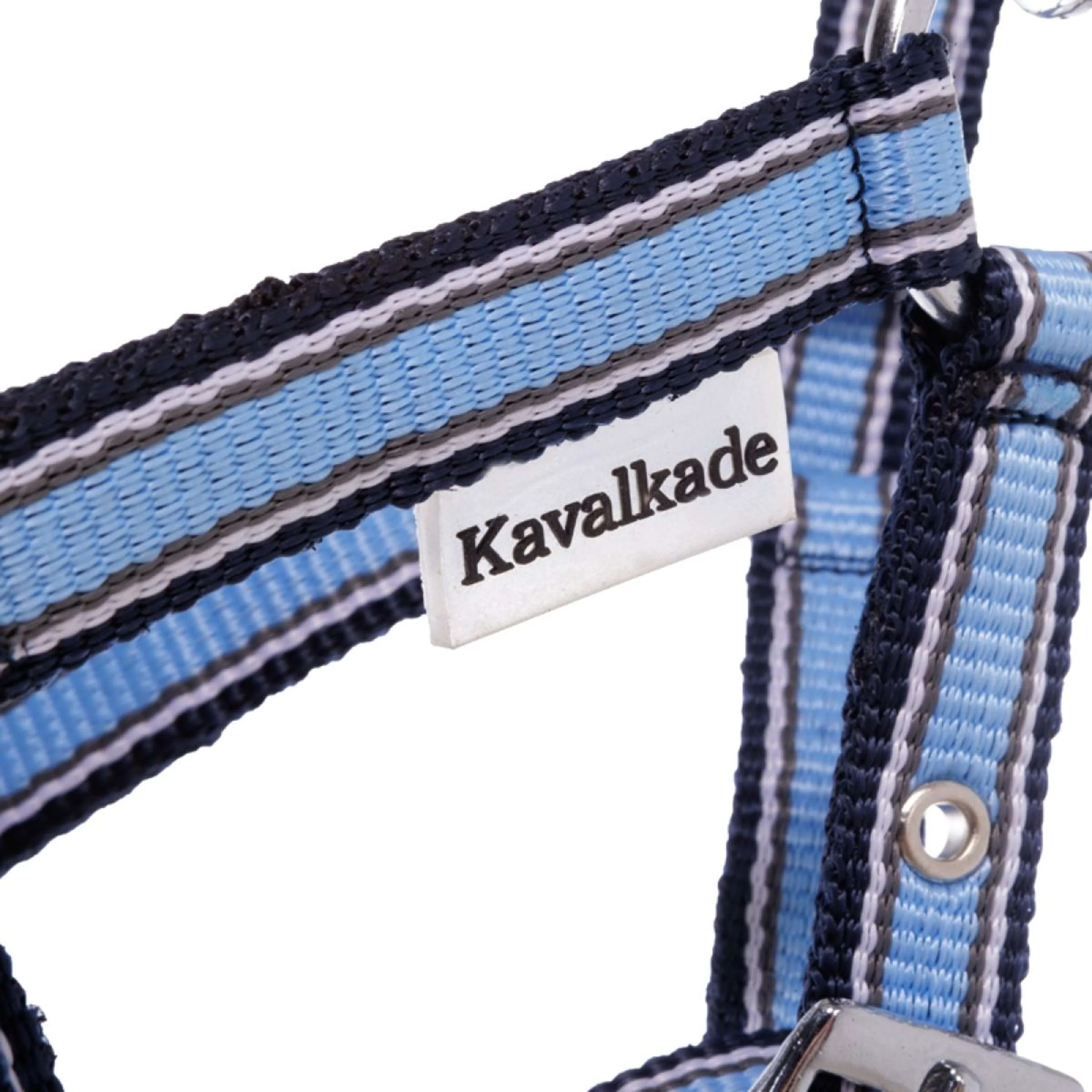 Kavalkade Licol Foal/Yearling Bleu clair/bleu marine/blanc - Image 2