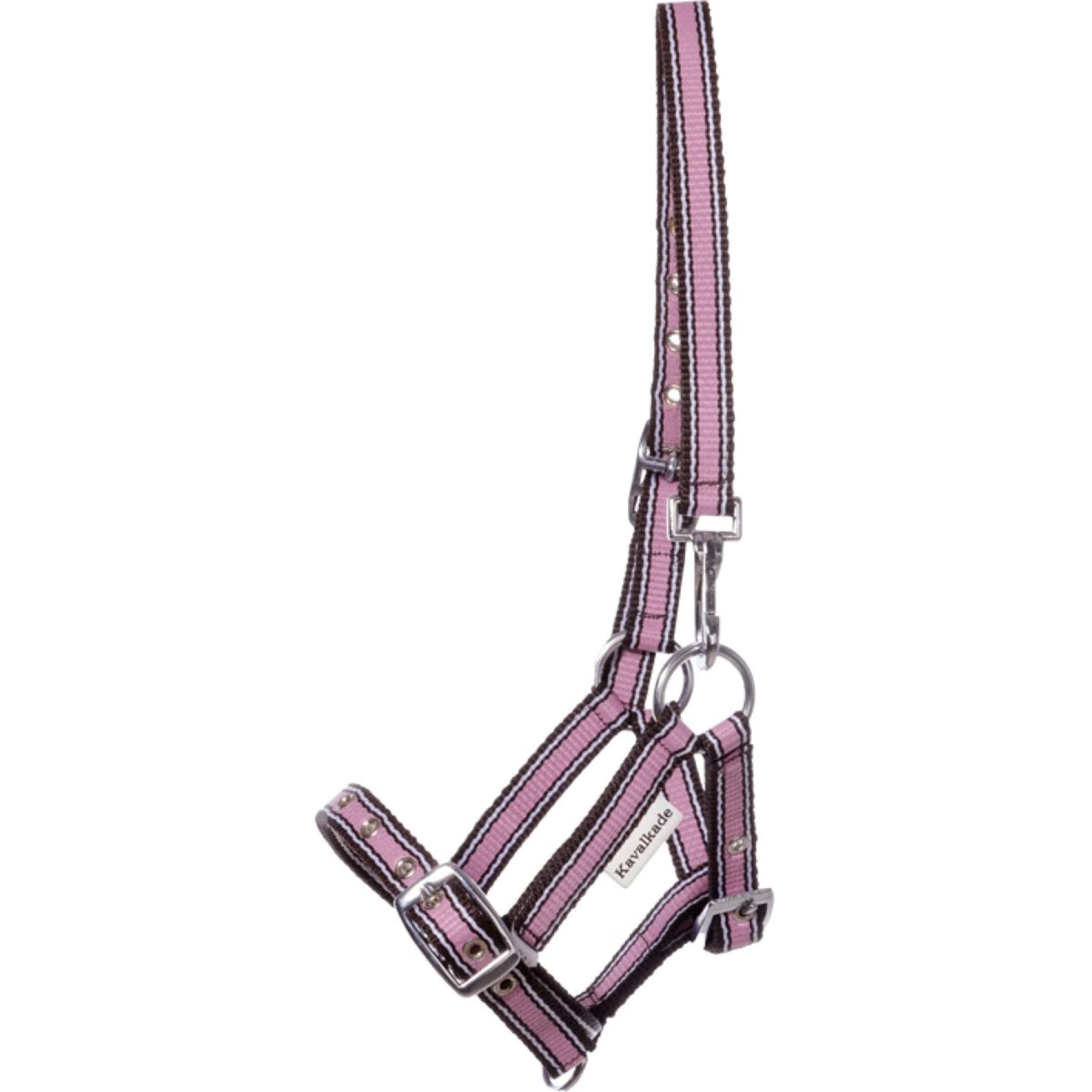 Kavalkade Licol Poulain et Yearling Rose - Image 2