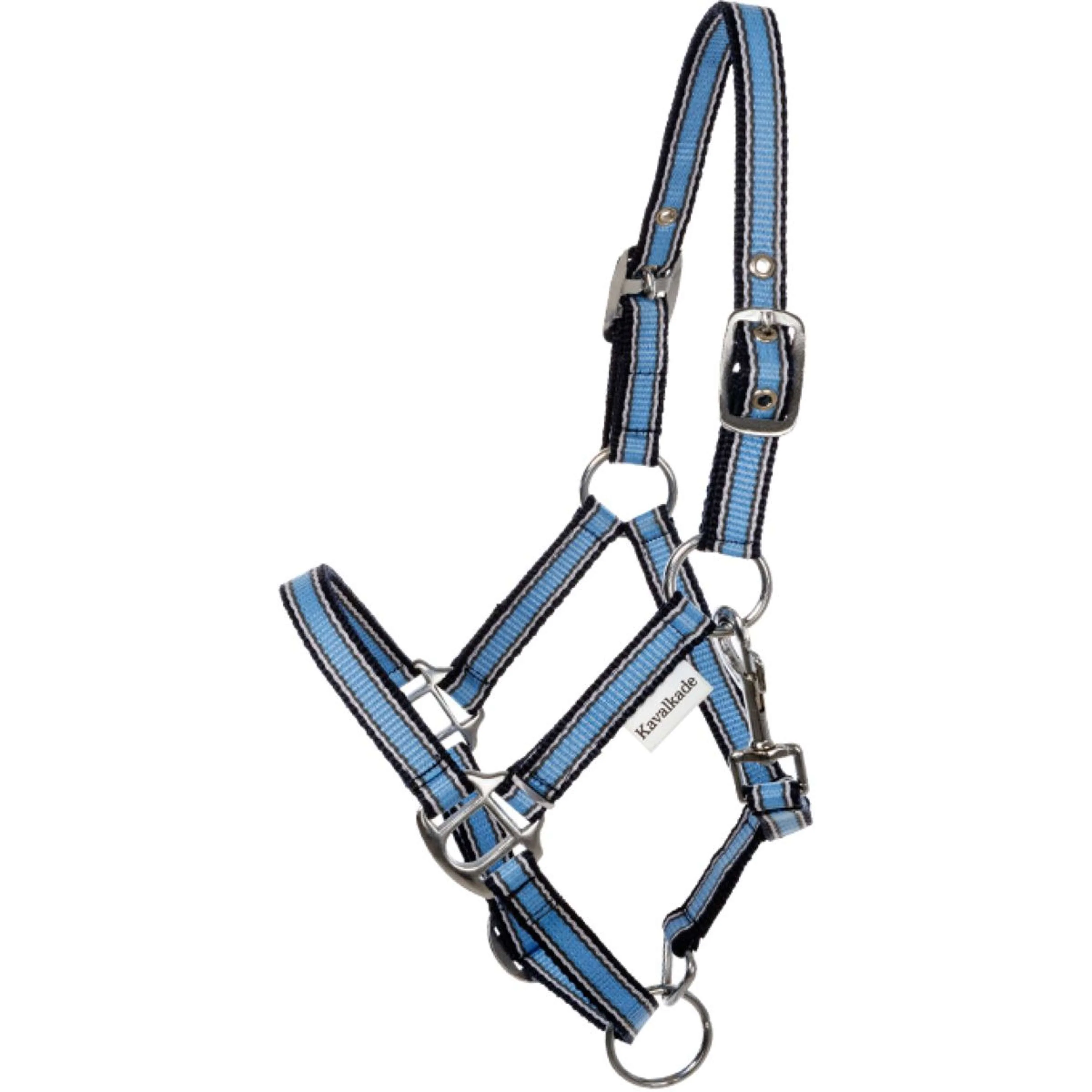 Kavalkade Licol Shorty Bleu - Image 2