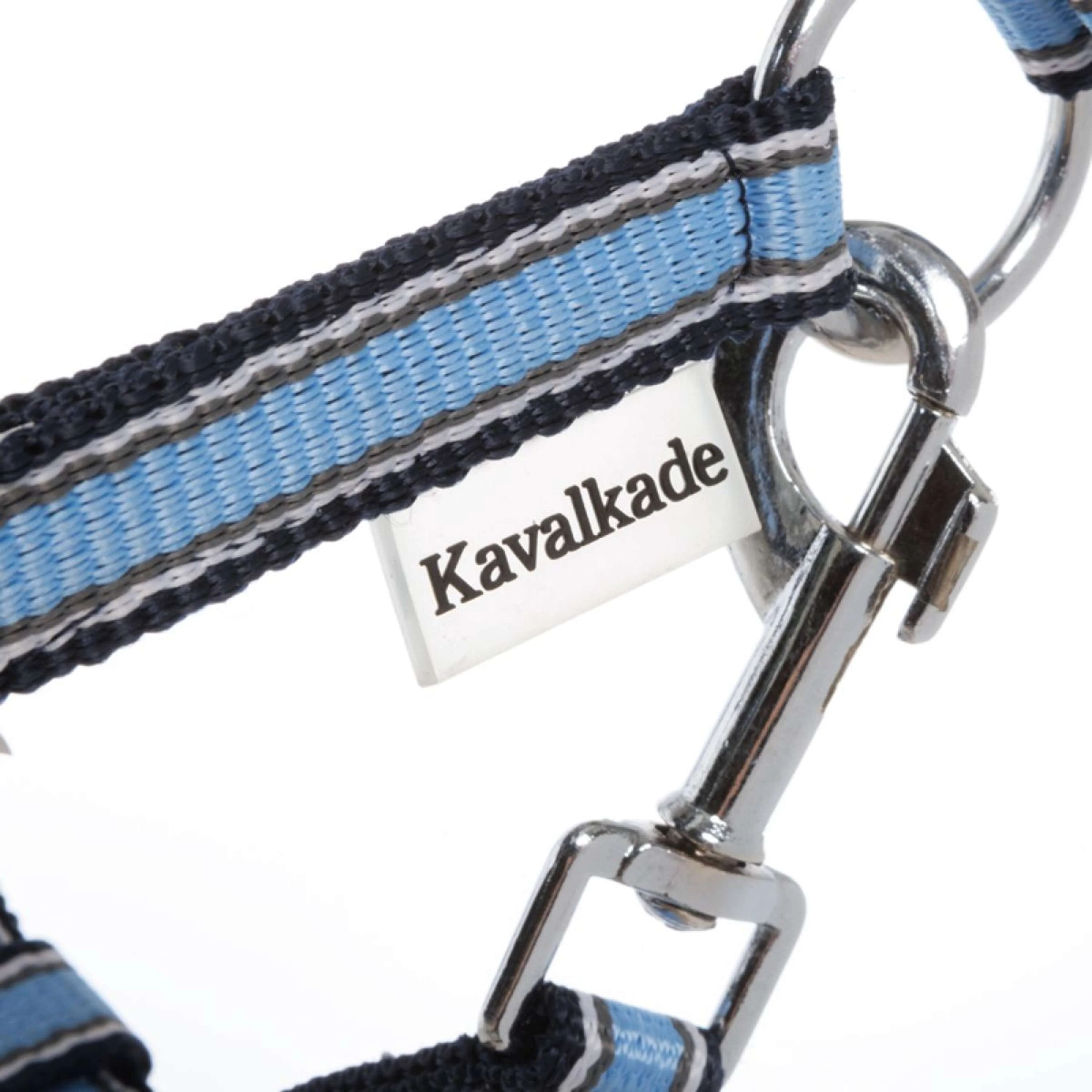 Kavalkade Licol Shorty Bleu - Image 3