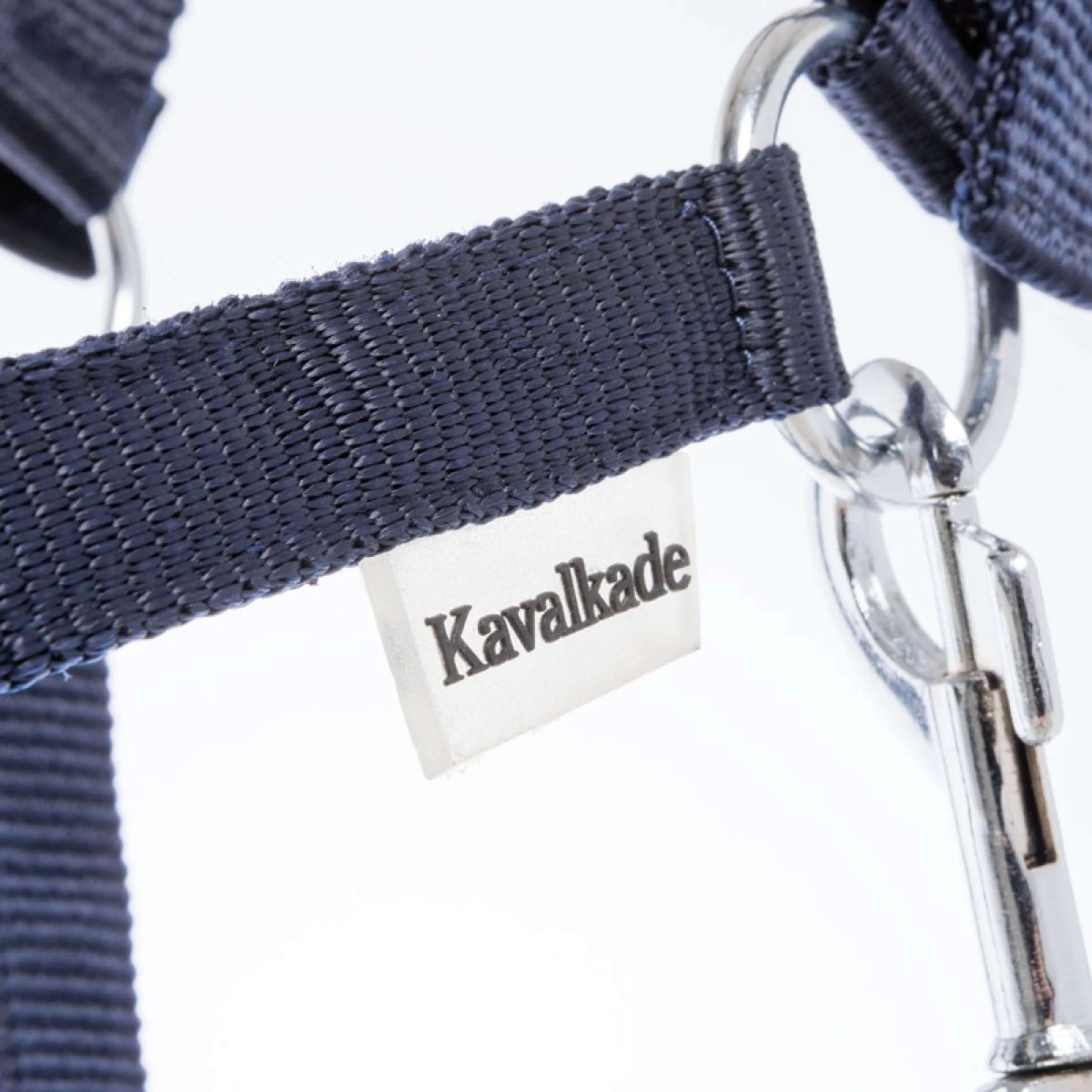 Kavalkade Licol Shorty Marin - Image 3