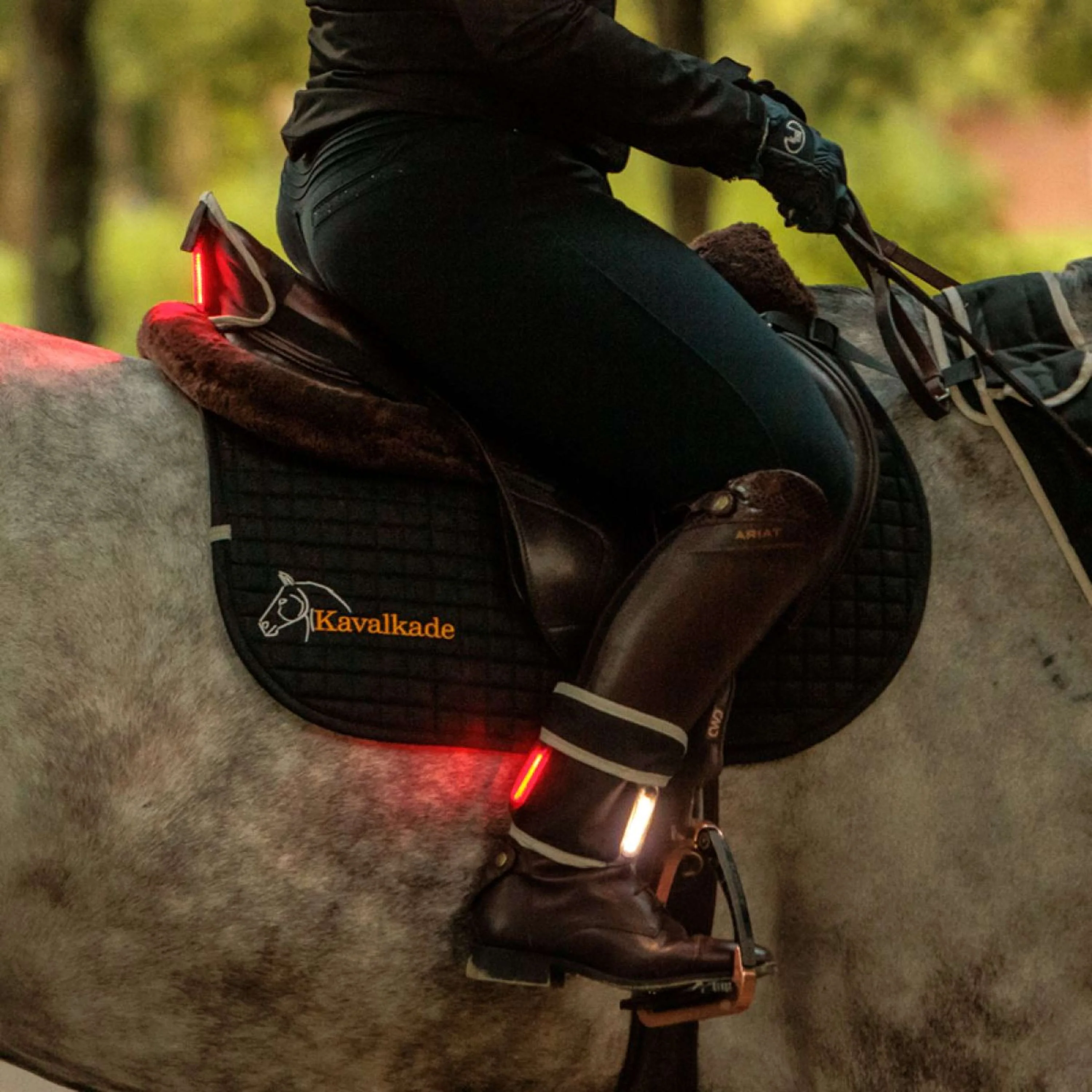 Kavalkade Plastron/Selle/Jambe Horselight Noir/Gris - Image 2