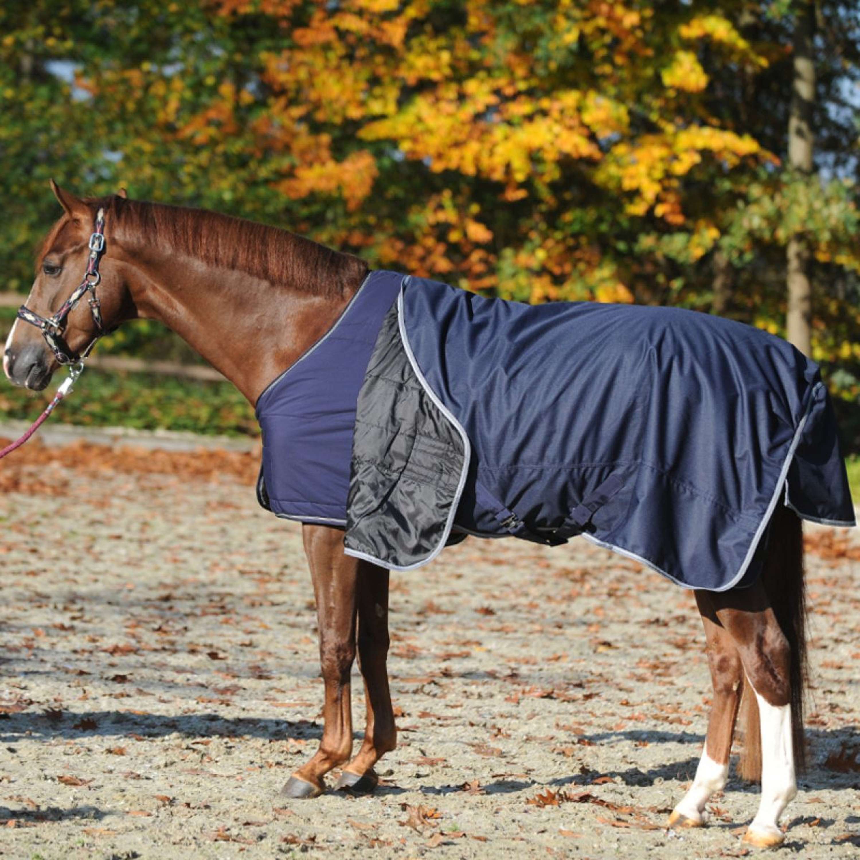 Kavalkade Sous-Couverture 150g Marin - Image 2