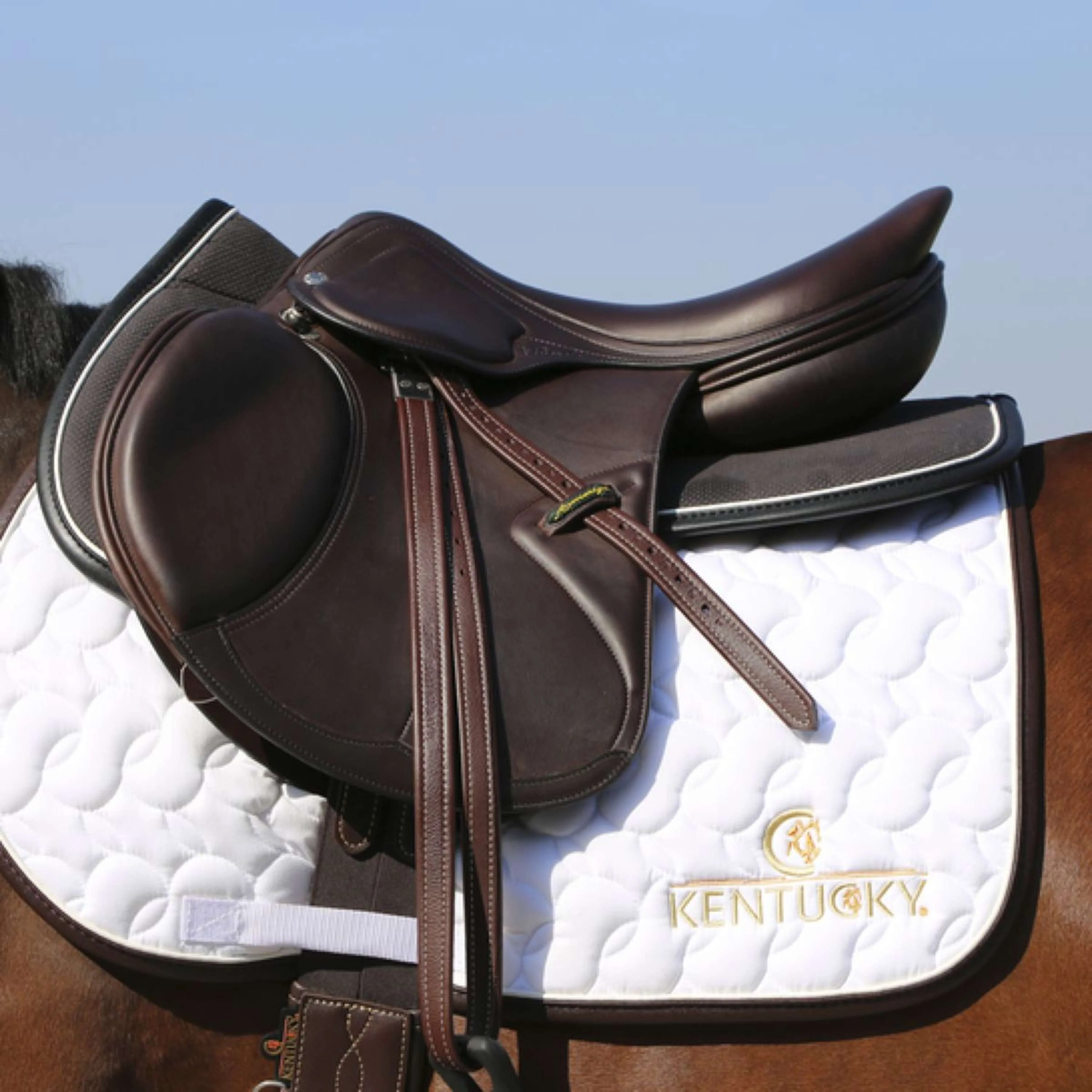 Kentucky Amortisseur Halfpad Anatomic Absorb Noir - Image 4