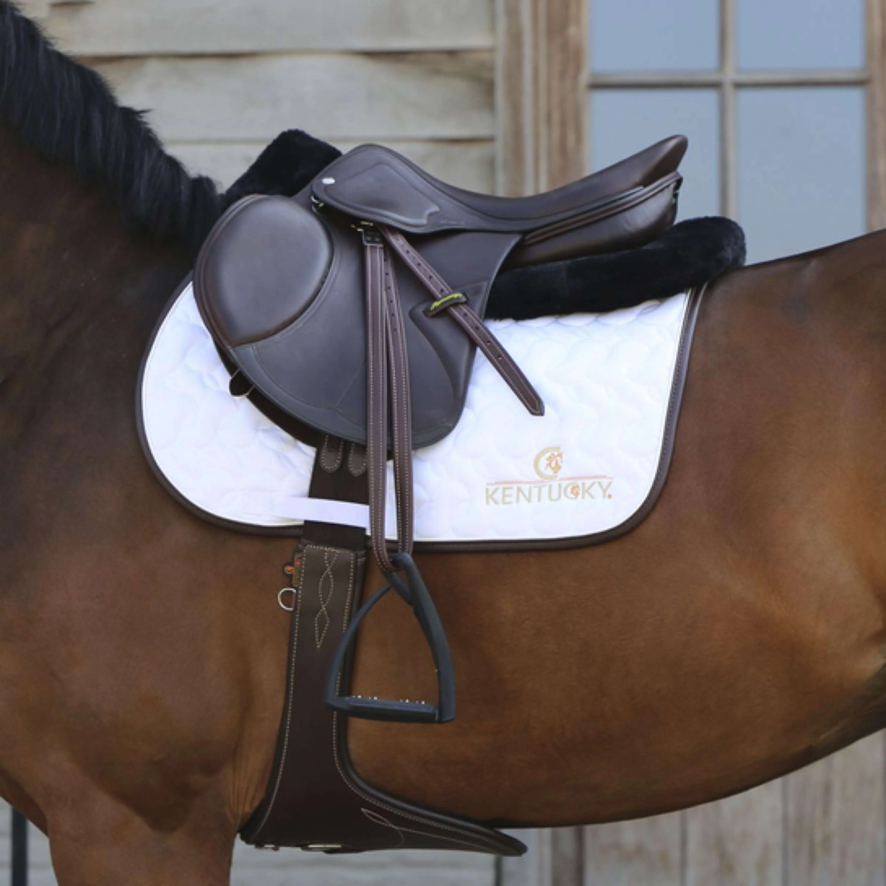 Kentucky Amortisseur Halfpad Anatomic Absorb Noir - Image 4