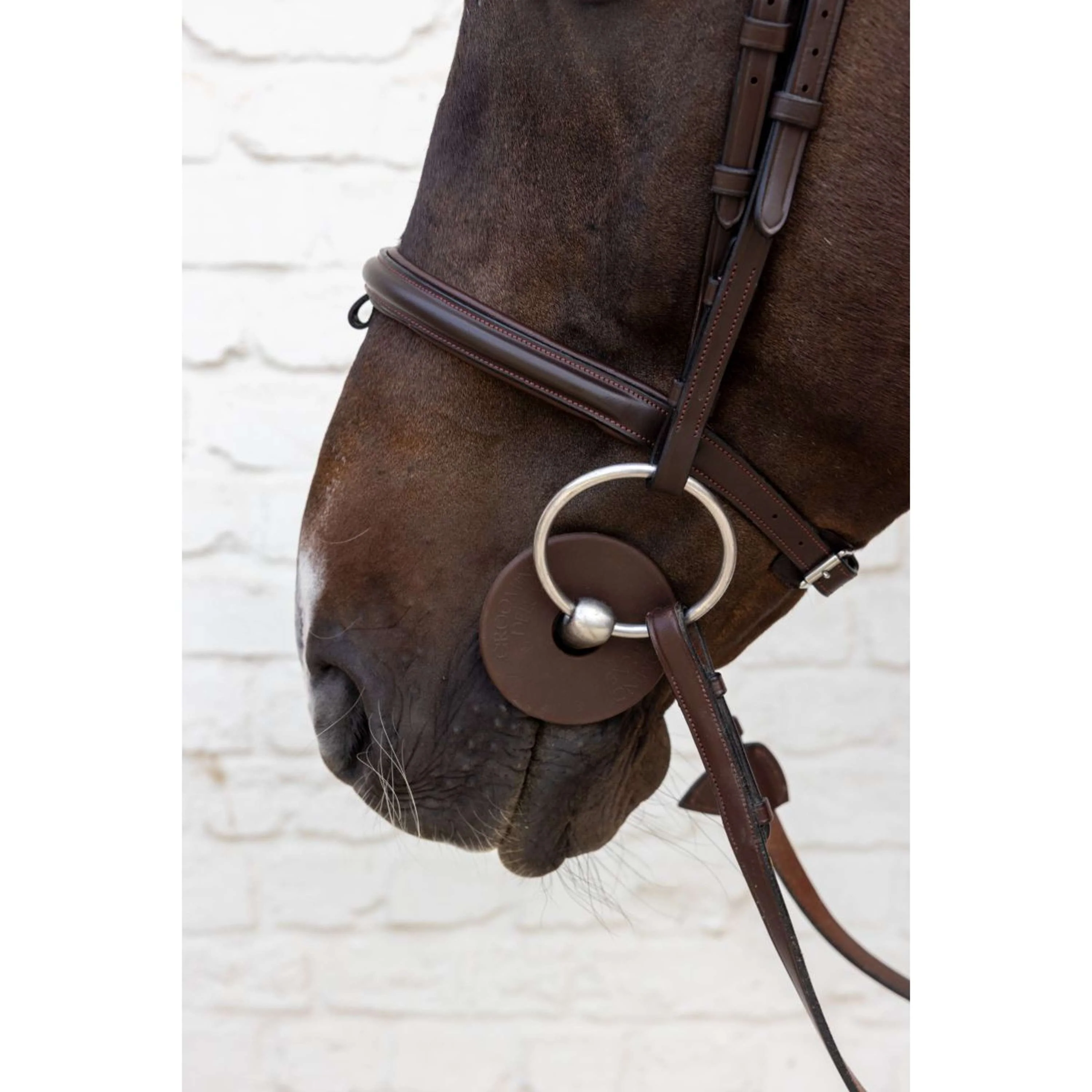 Kentucky Anneaux de Mors Bit Guard Marron - Image 2