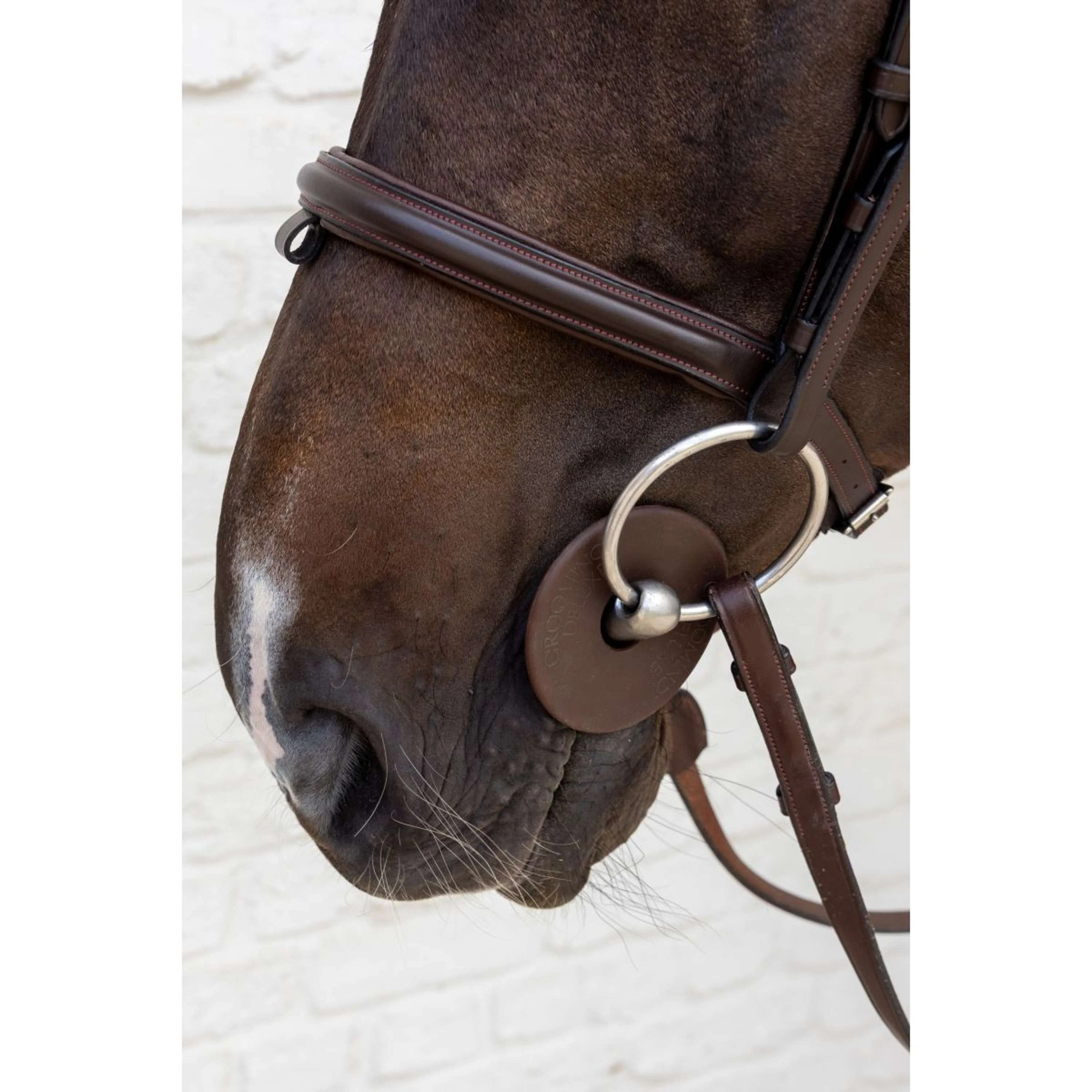 Kentucky Anneaux de Mors Bit Guard Marron - Image 3