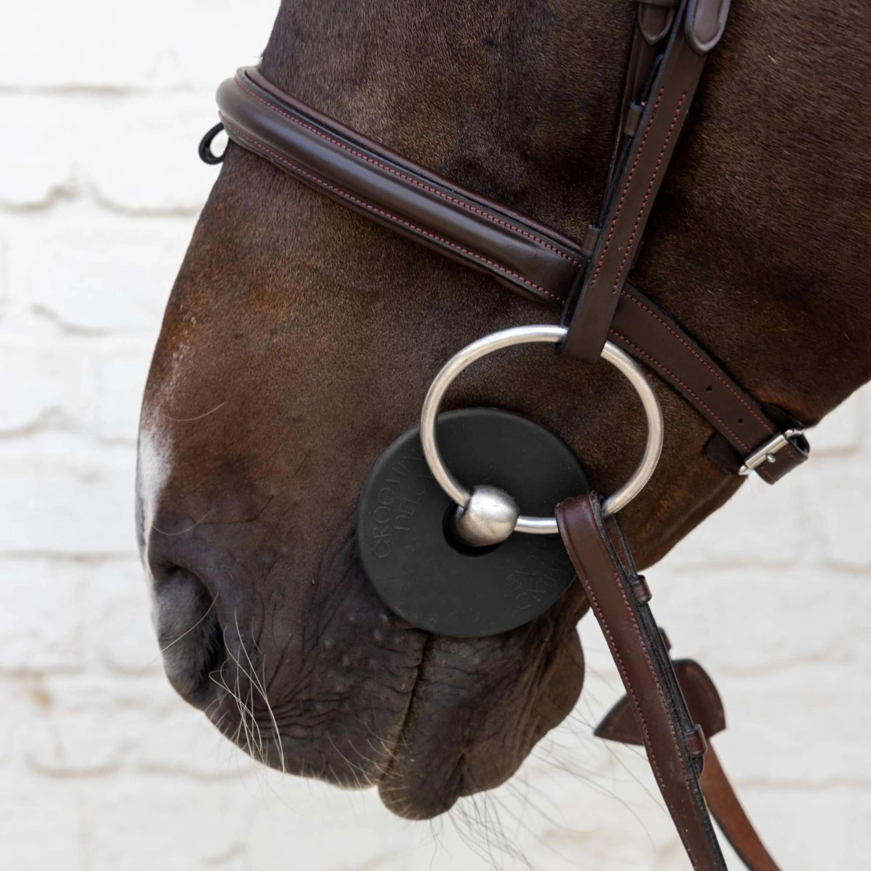 Kentucky Anneaux de Mors Bit Guard Noir - Image 2