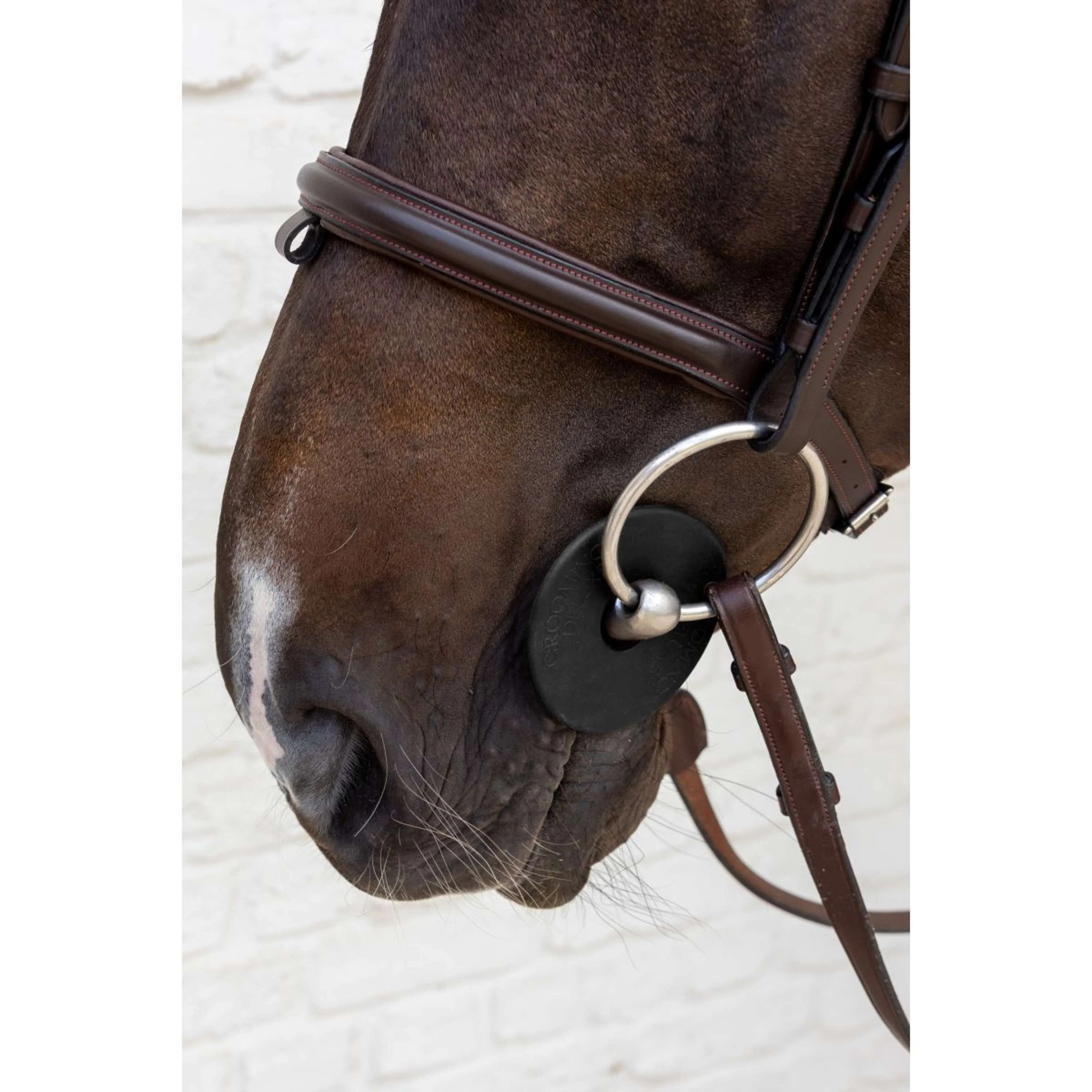Kentucky Anneaux de Mors Bit Guard Noir - Image 3