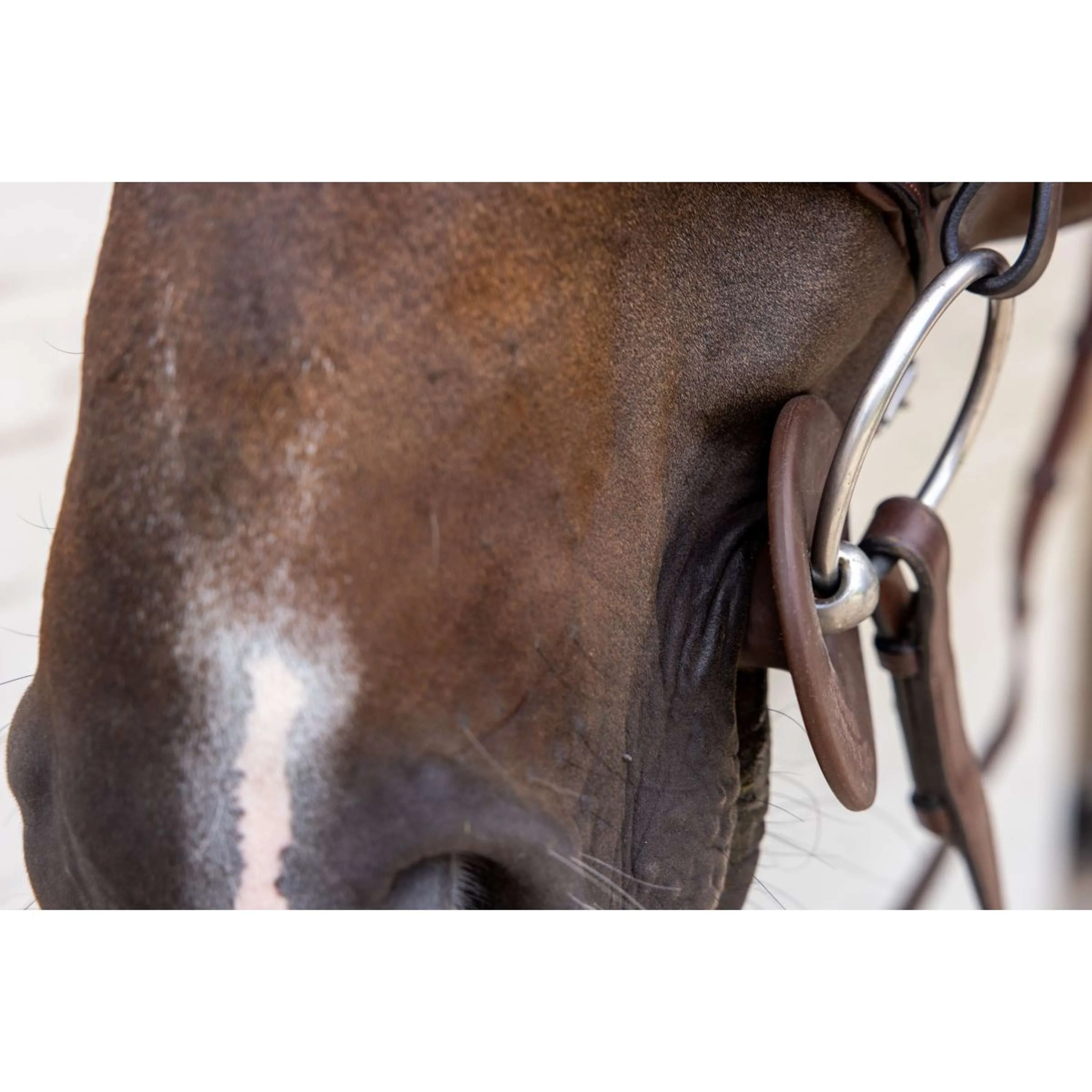Kentucky Anneaux de Mors Bit Ring Marron - Image 3
