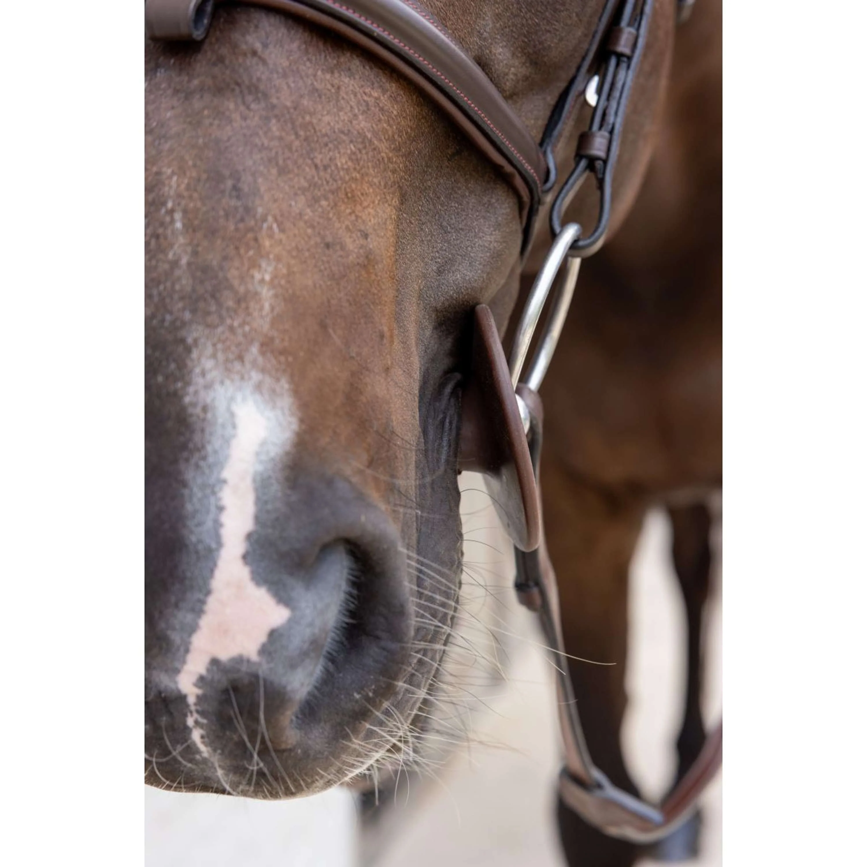 Kentucky Anneaux de Mors Bit Ring Marron - Image 4