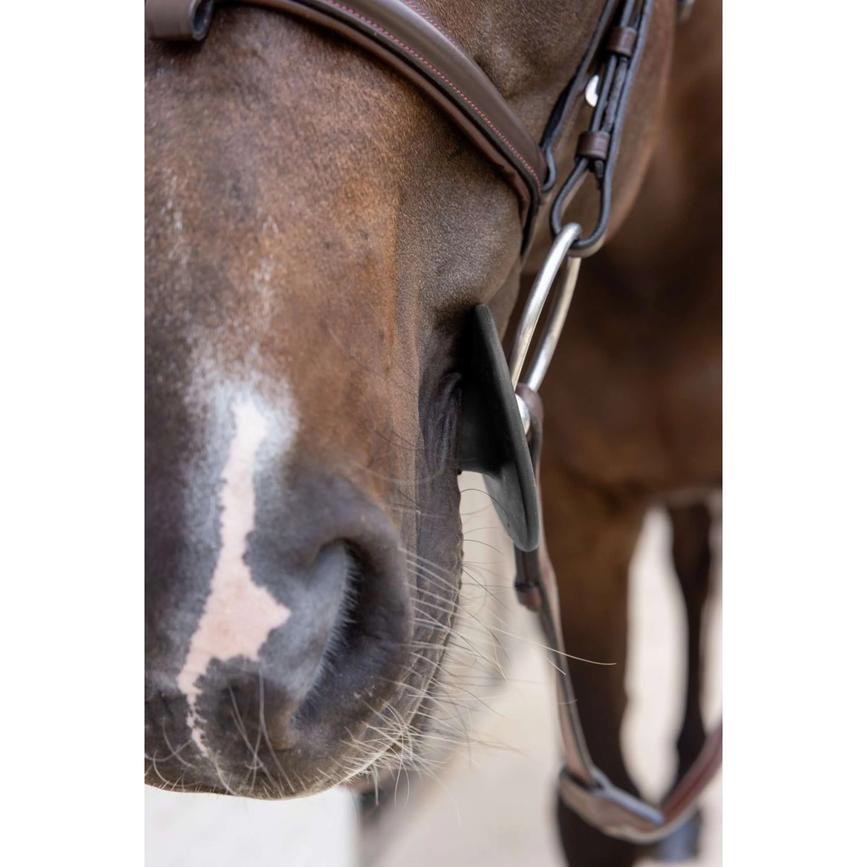Kentucky Anneaux de Mors Bit Ring Noir - Image 9