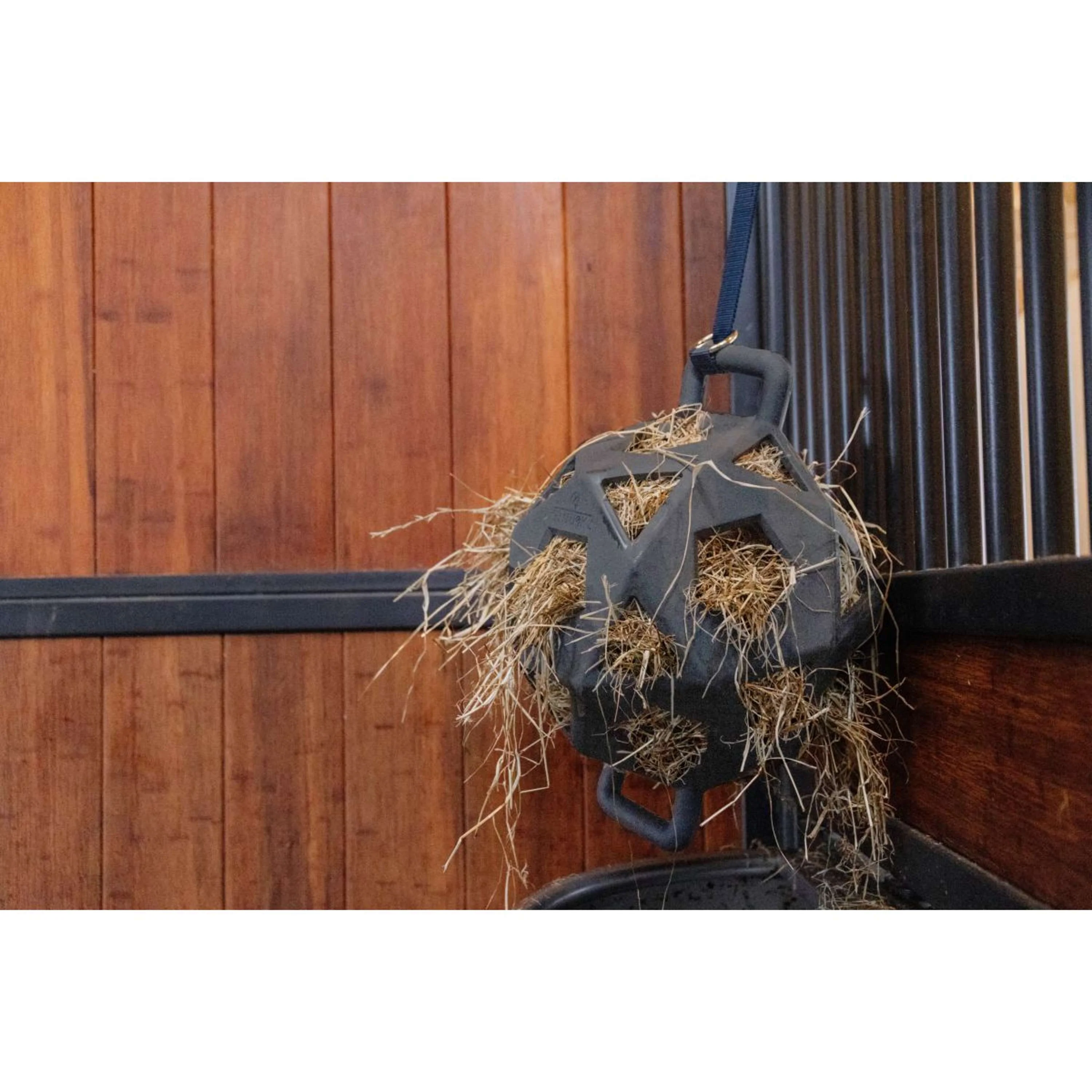 Kentucky Balle de Jeu Play & Hay Gris - Image 5