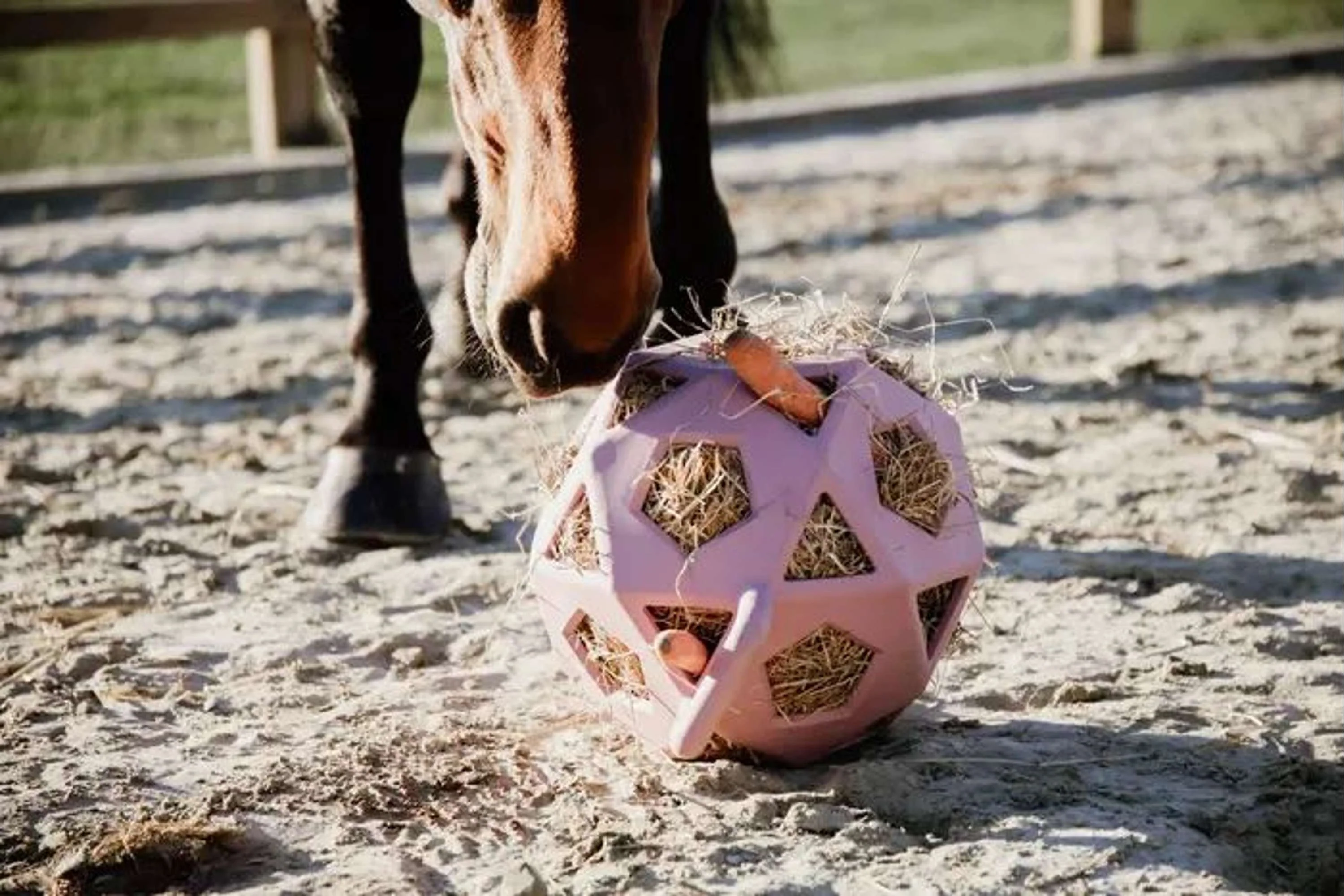 Kentucky Balle de Jeu Play & Hay Rose Vieux - Image 2