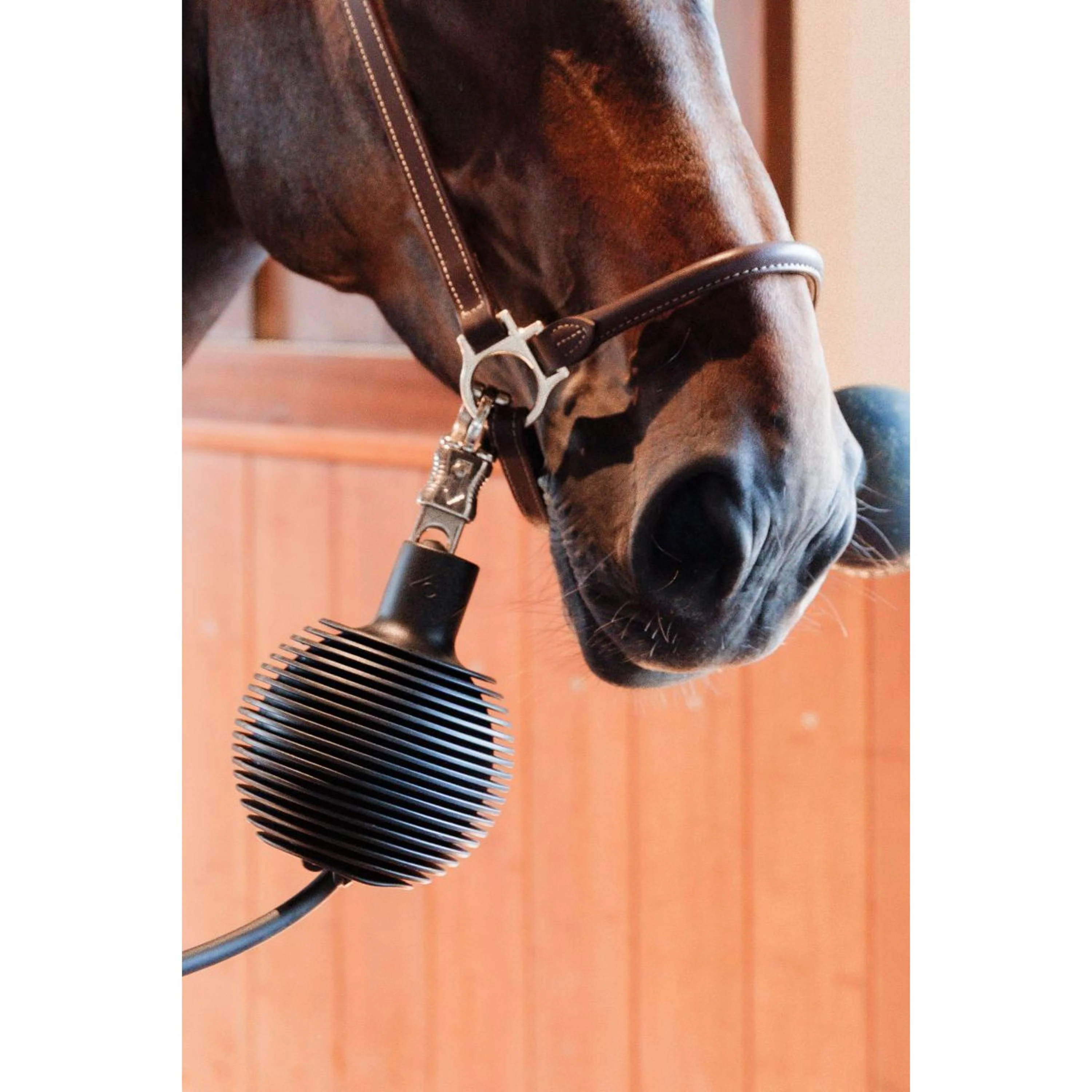 Kentucky Balle de Protection Pro Rubber Noir - Image 6