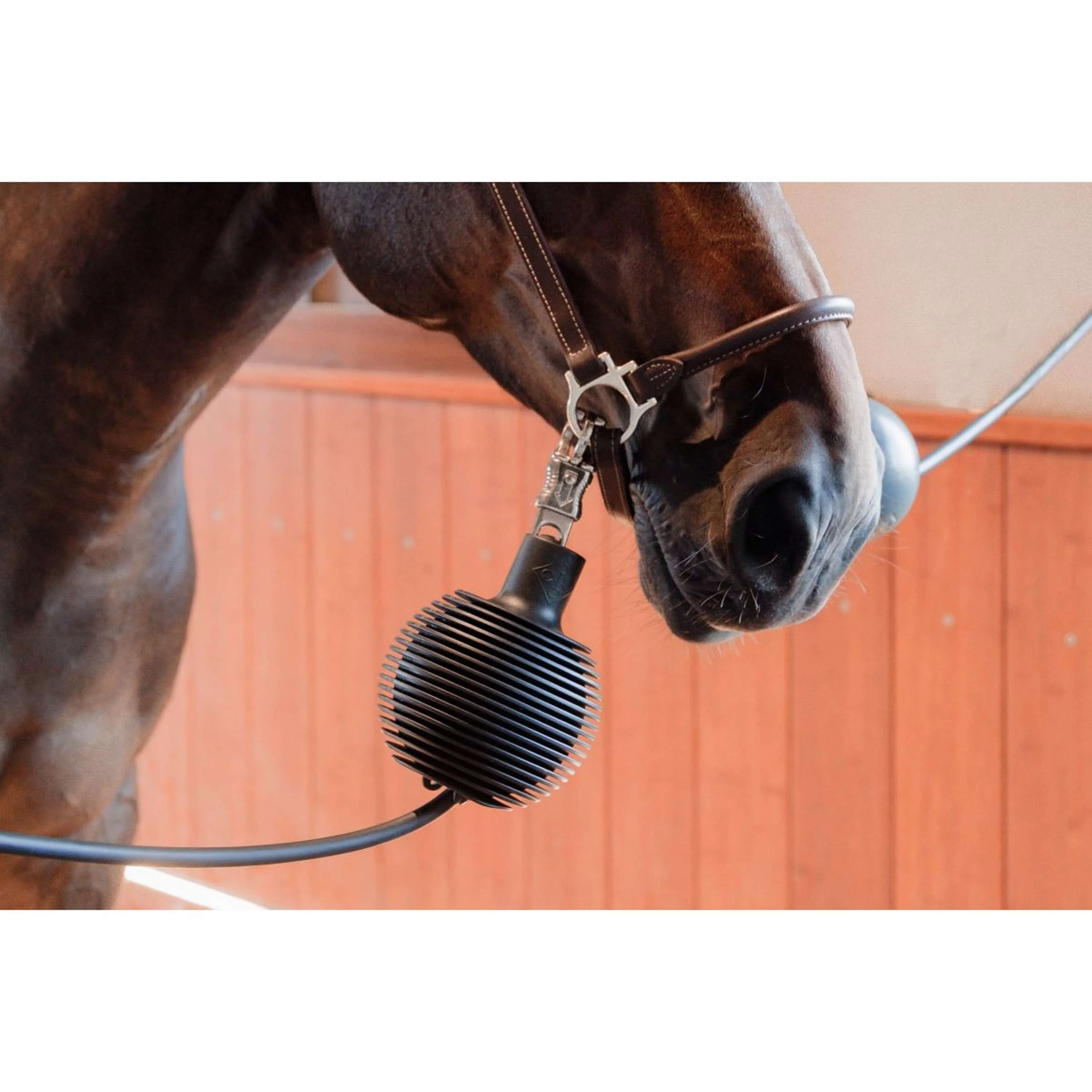 Kentucky Balle de Protection Pro Rubber Noir - Image 7