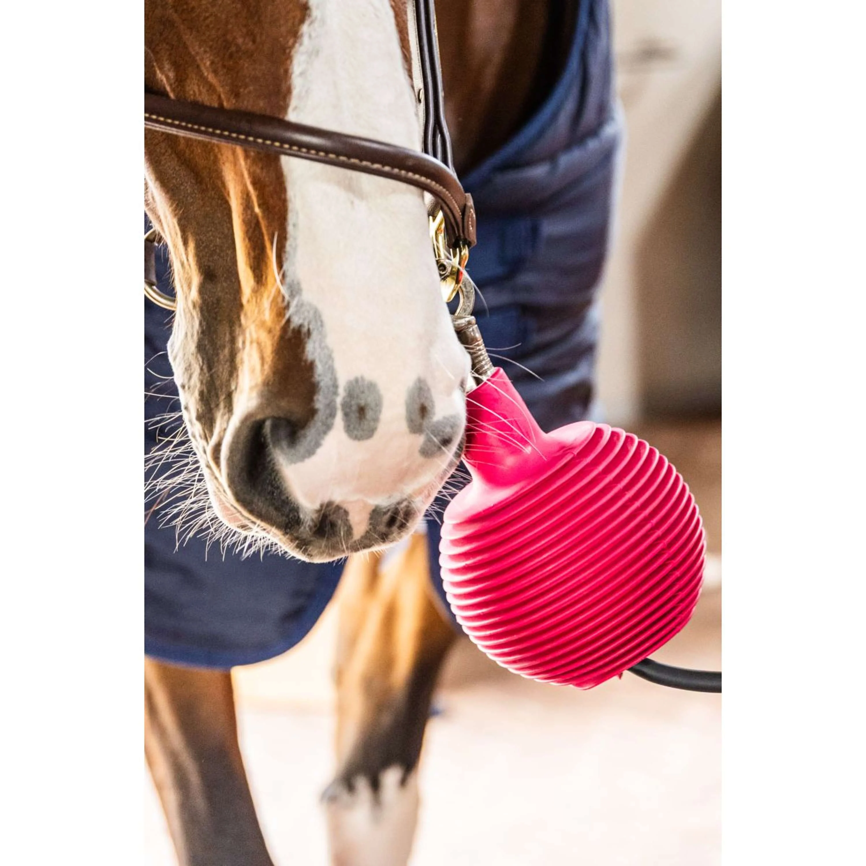 Kentucky Balle de Protection Pro Rubber Rose - Image 6