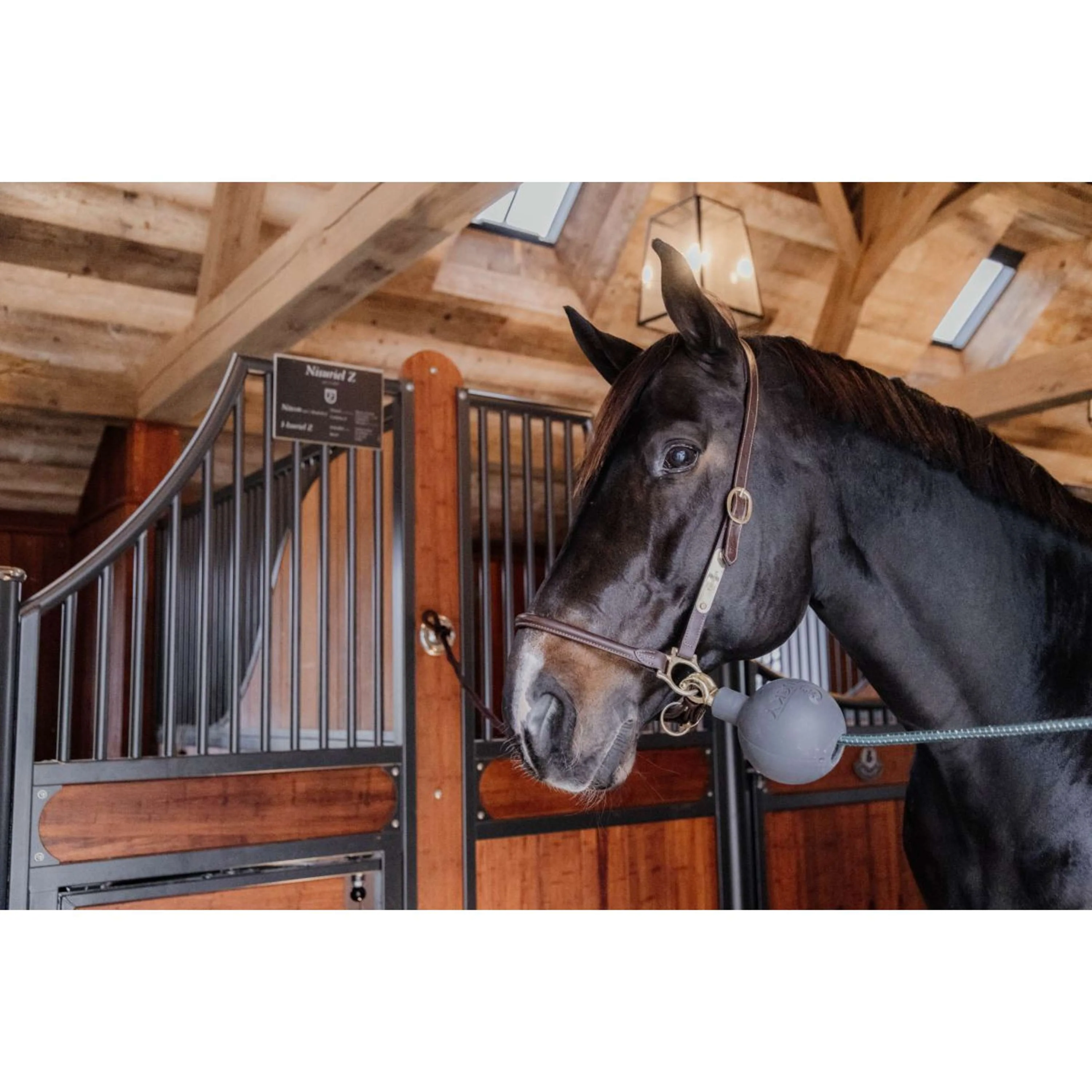 Kentucky Balle de Protection Rubber Gris - Image 3