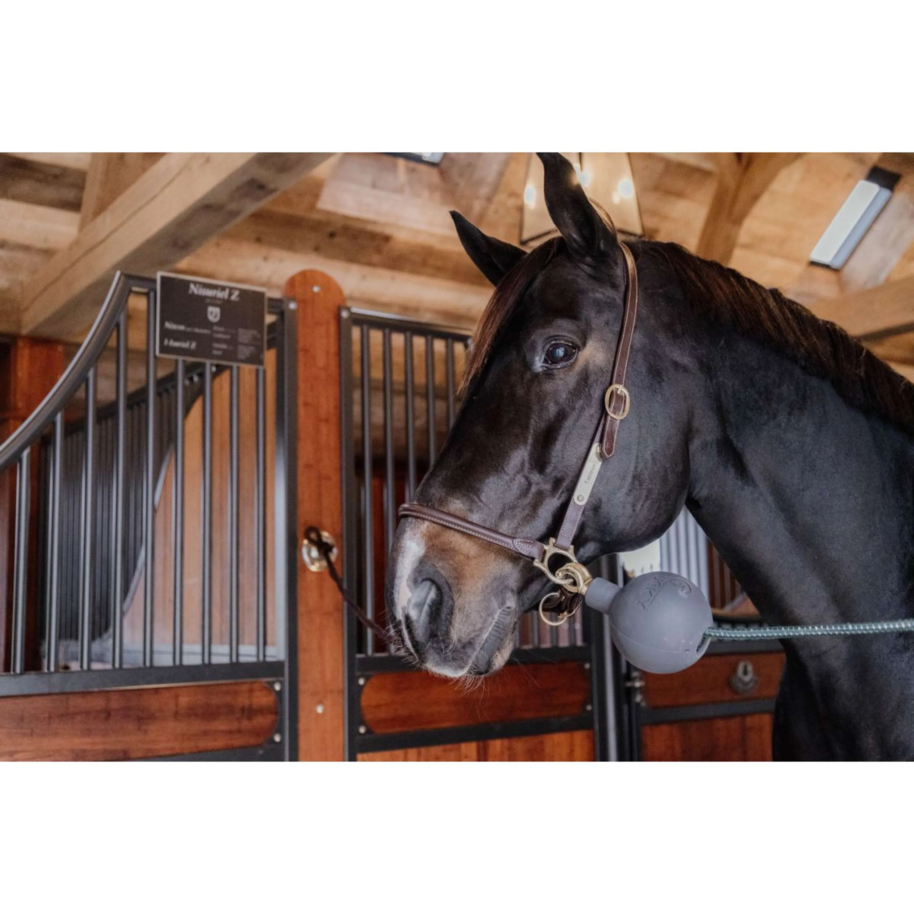 Kentucky Balle de Protection Rubber Gris - Image 6