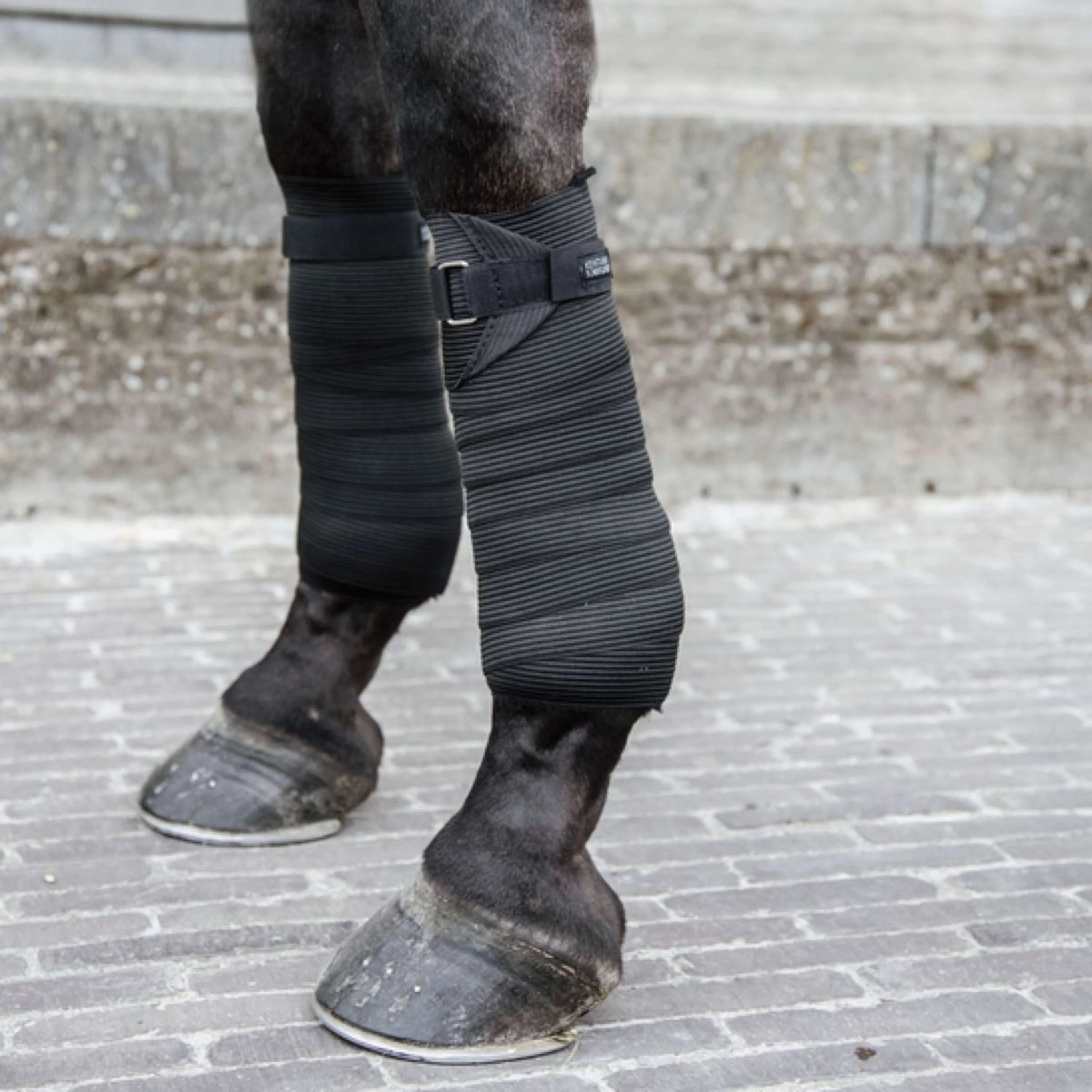 Kentucky Bandages Elastic Noir - Image 2