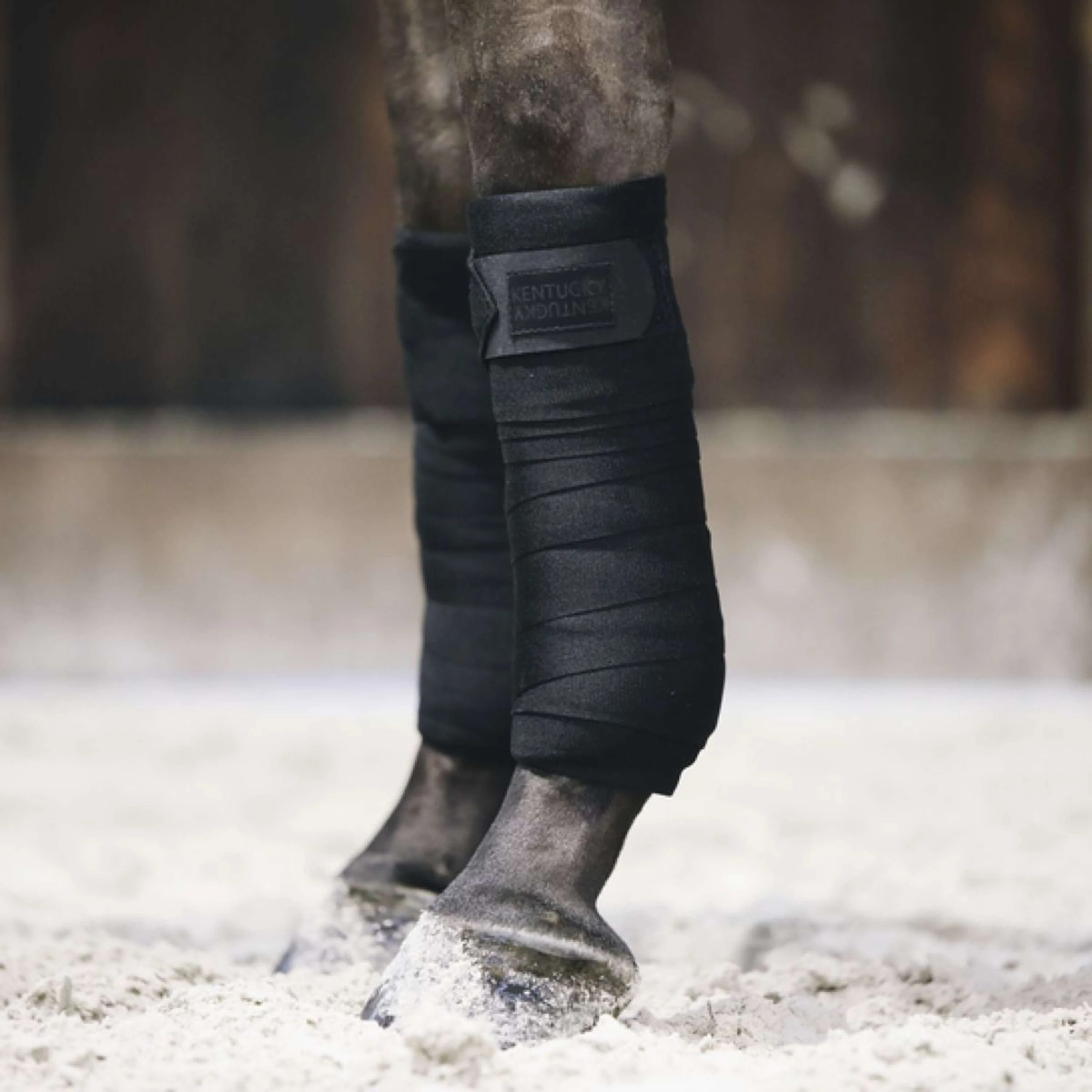 Kentucky Bandages Repellent Noir - Image 2
