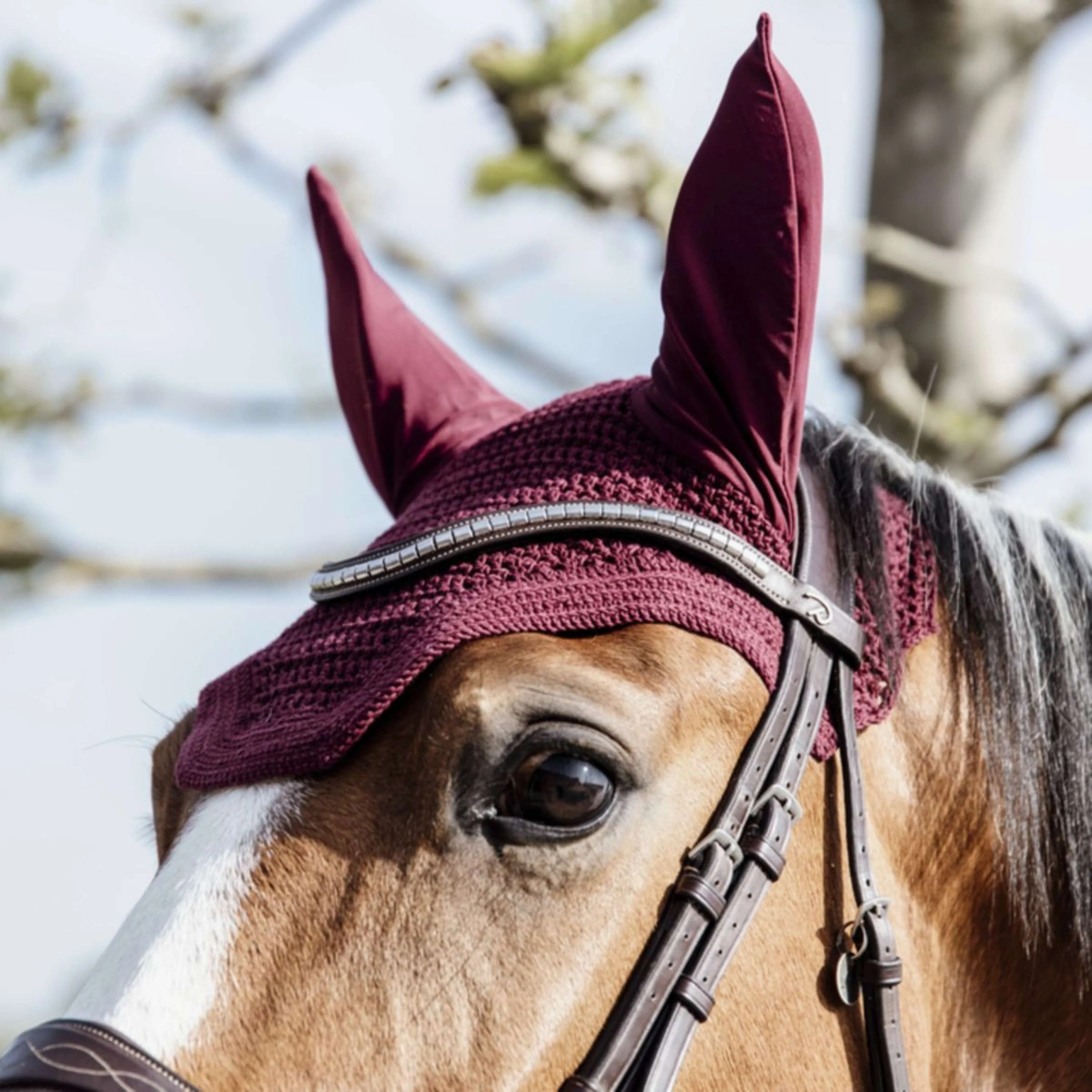 Kentucky Bonnet Anti-Mouches Wellington Bordeaux - Image 2