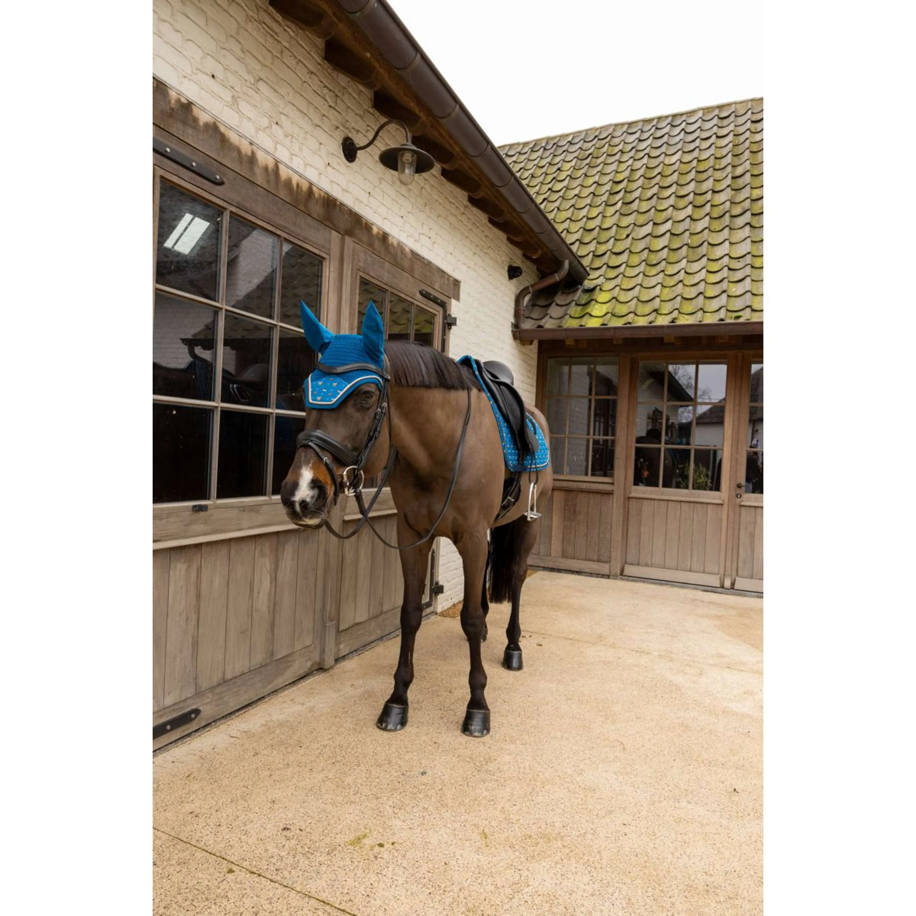 Kentucky Bonnet Anti-Mouches Wellington Velvet Horse Printing Marin - Image 3