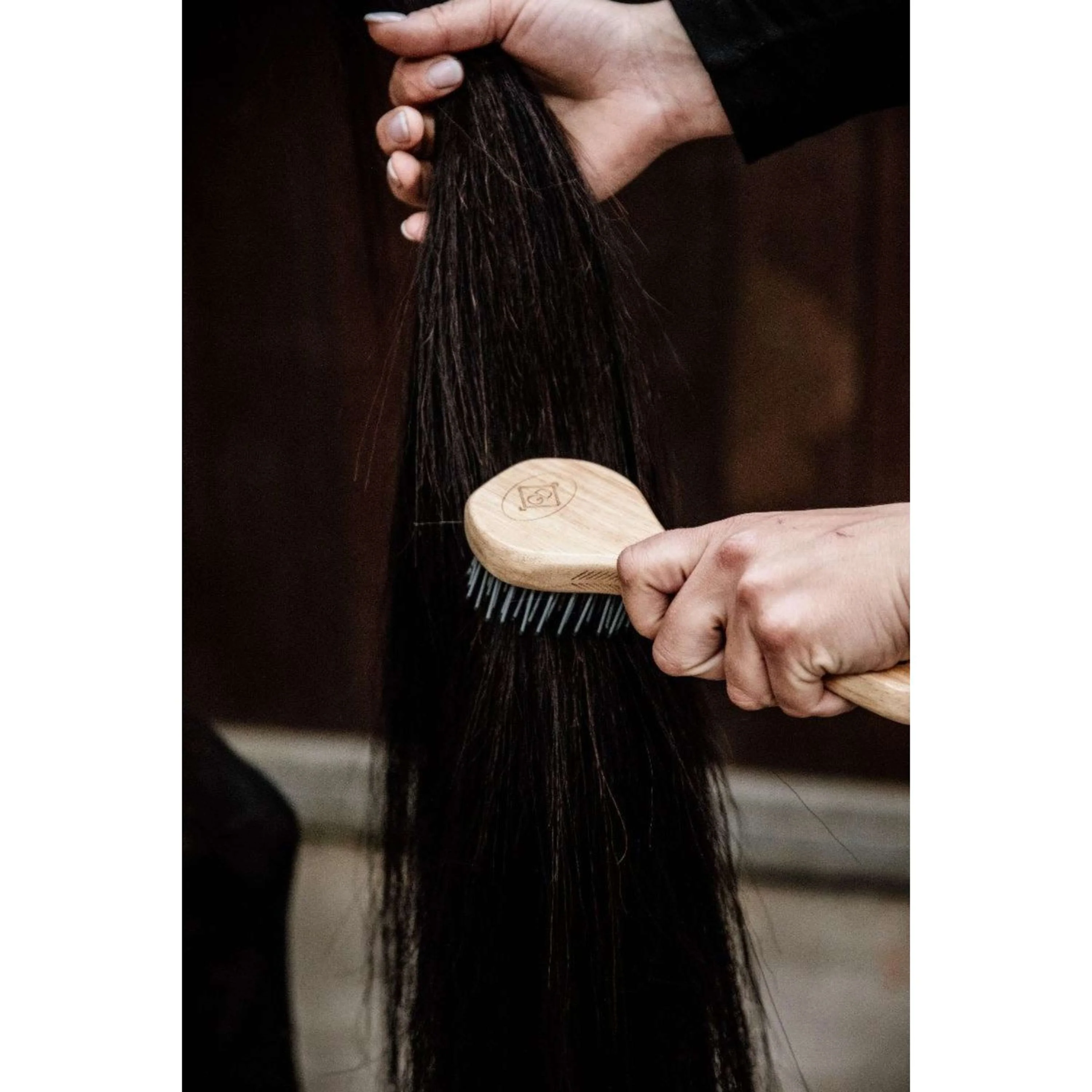 Kentucky Brosse à crin - Image 3