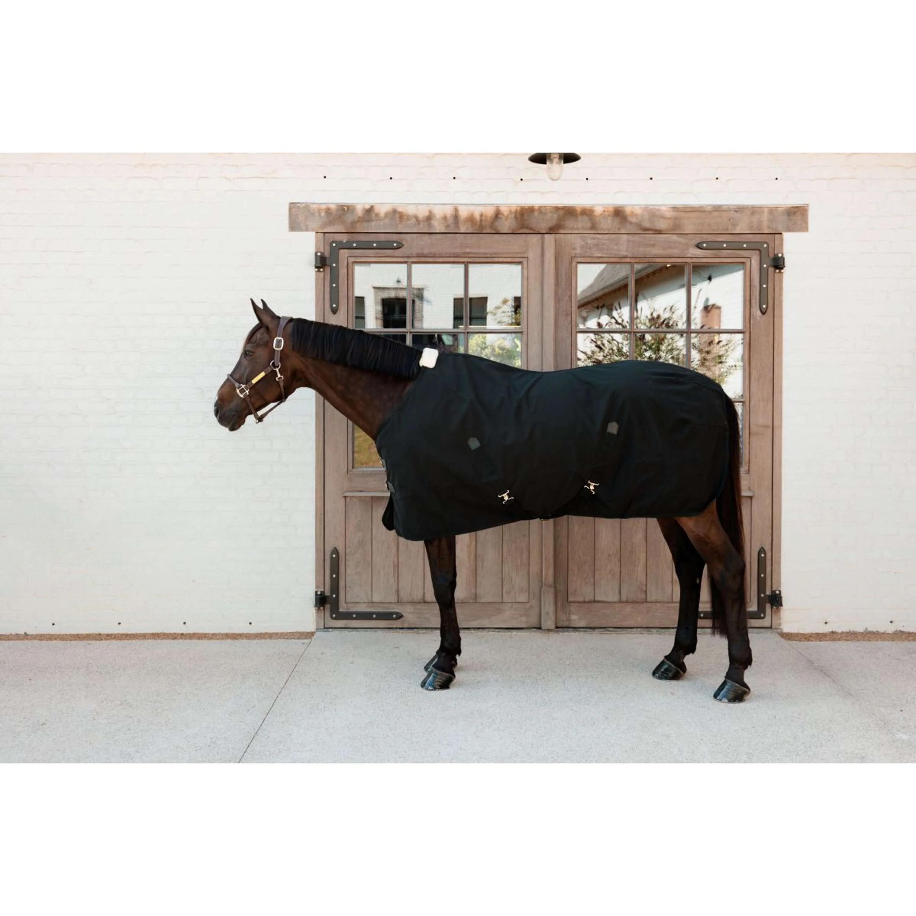 Kentucky Canvas Sheet Noir - Image 2