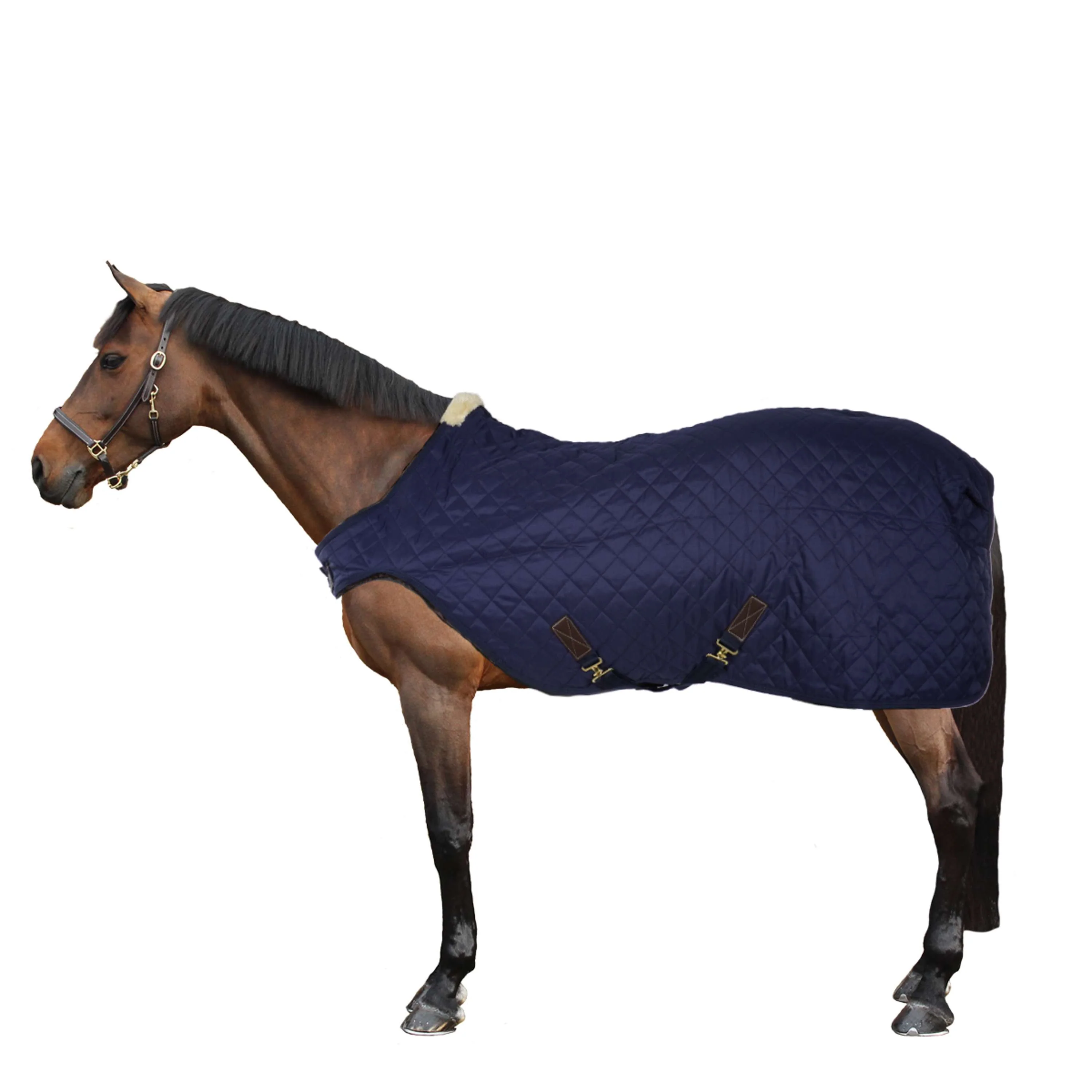 Kentucky Couverture de Marcheur 160g Marin - Image 4