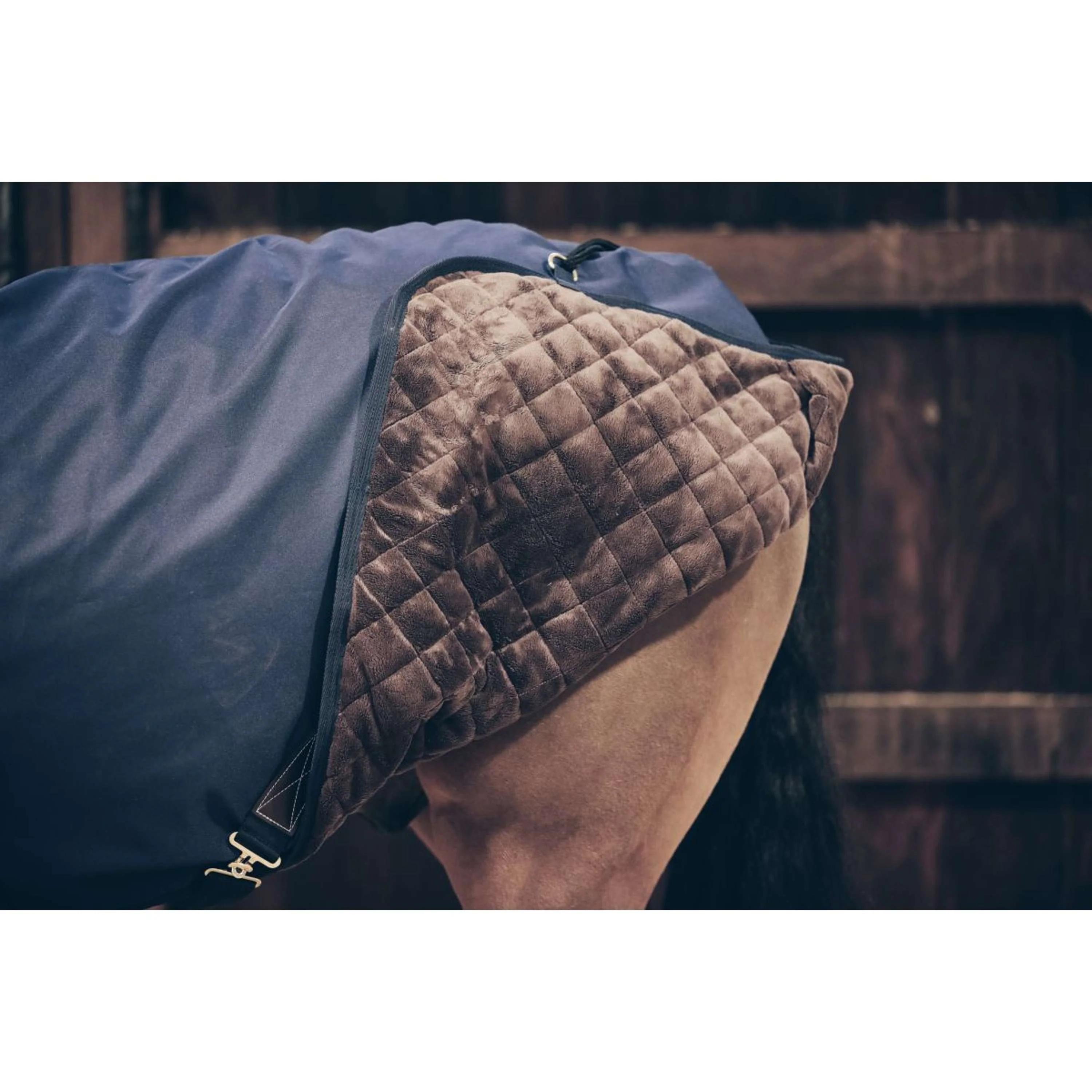 Kentucky Couverture de Marcheur Waterproof 160g Marin - Image 3