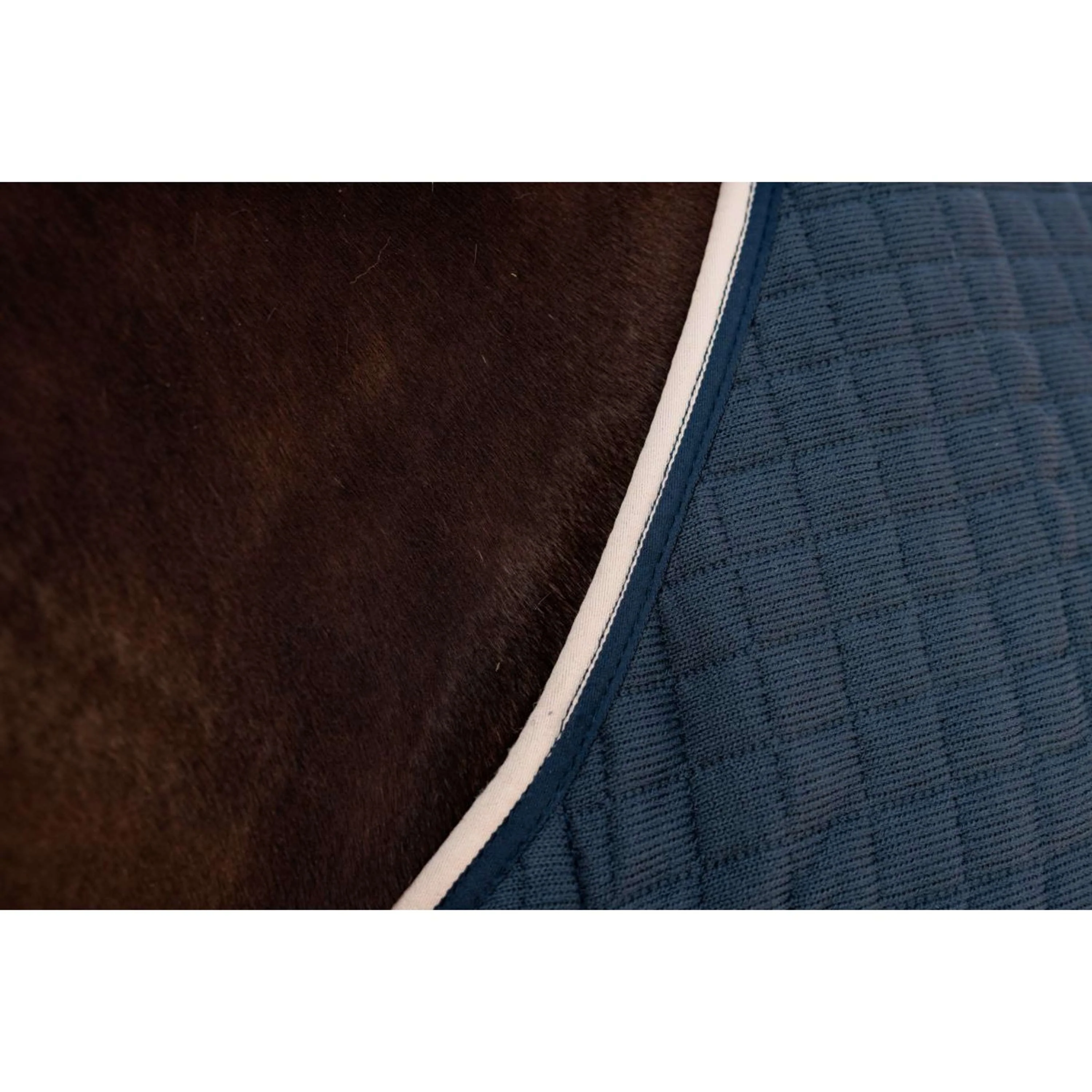 Kentucky Chemise Rafraîchissante PROTherm Marin - Image 9