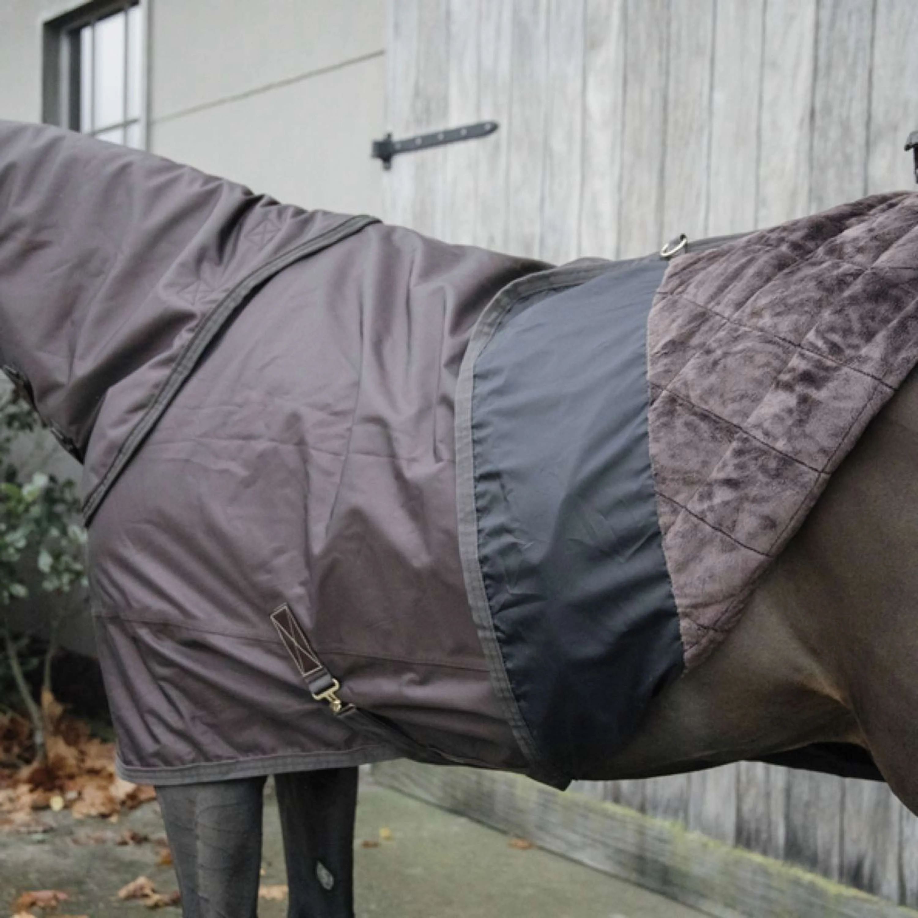 Kentucky Couverture Turnout All Weather 160g Marron - Image 4
