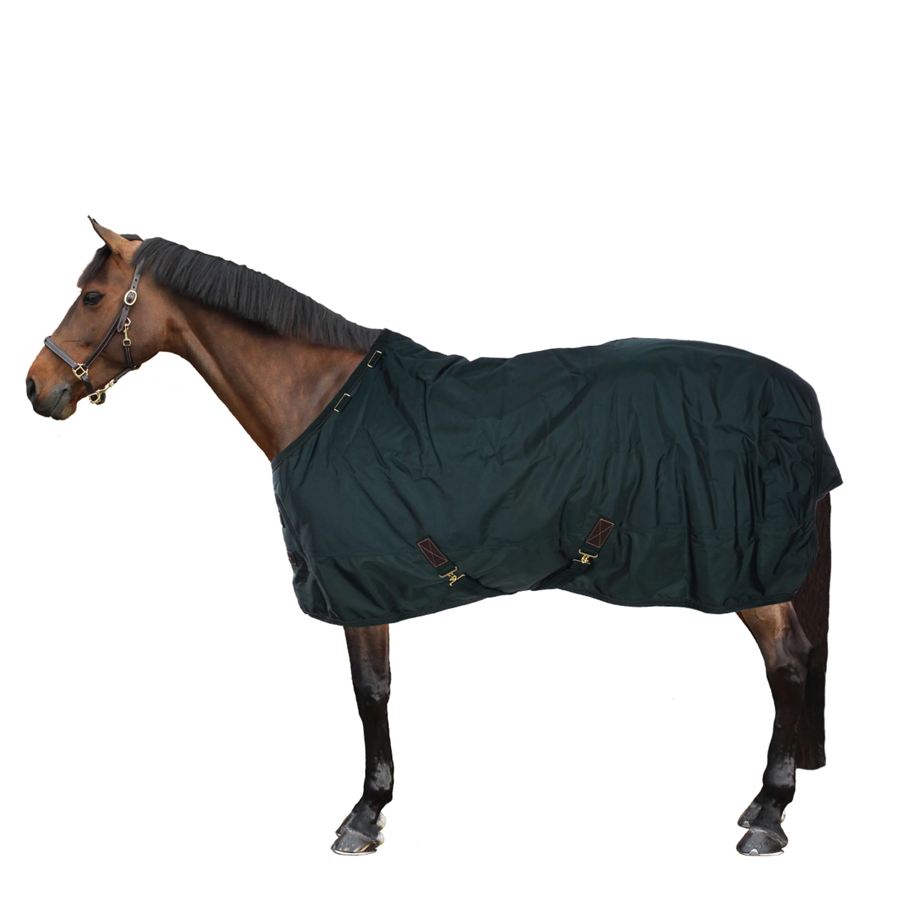 Kentucky Couverture Turnout All Weather 160g Vert Foncé - Image 4