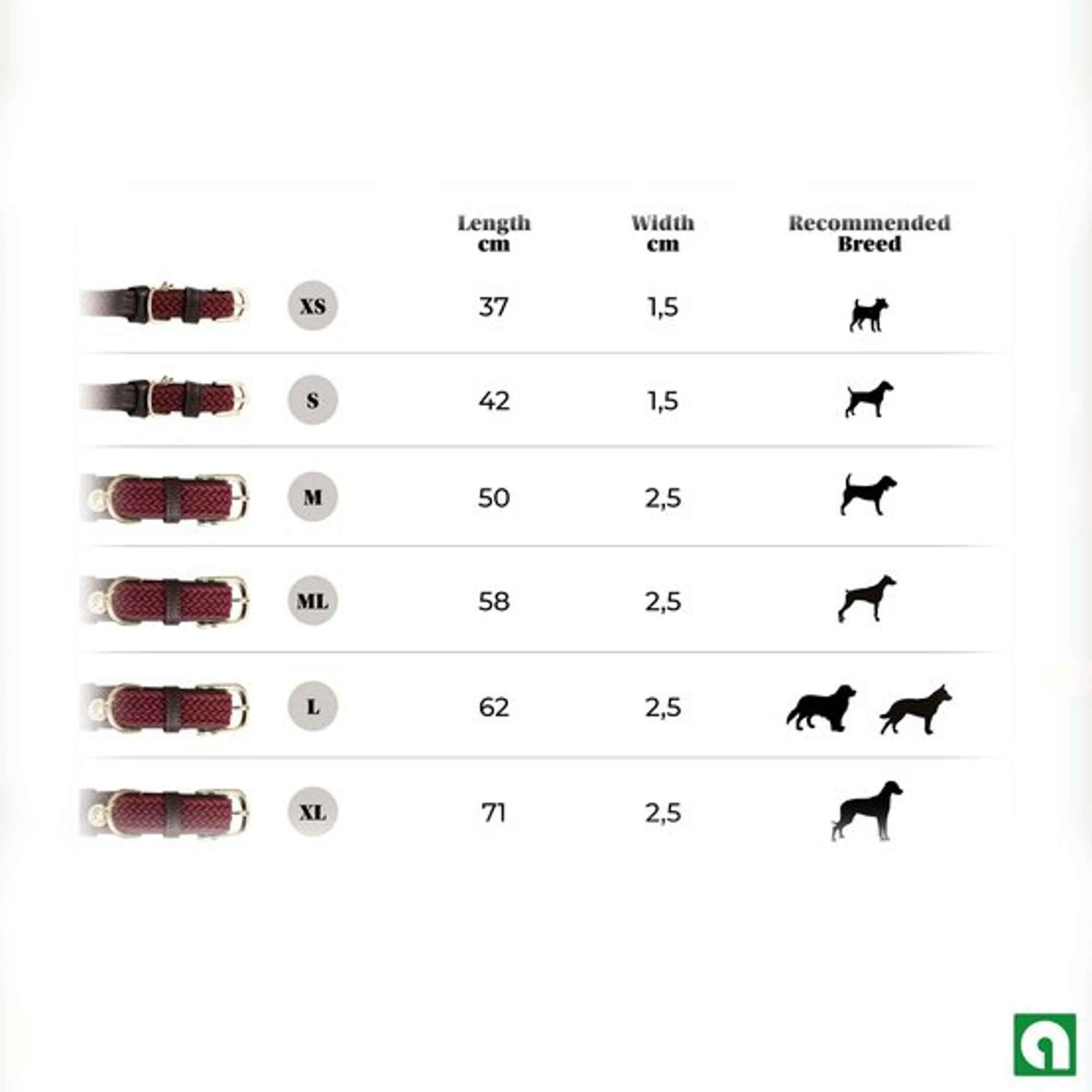 Kentucky Collier Plaited Nylon Bordeaux - Image 5