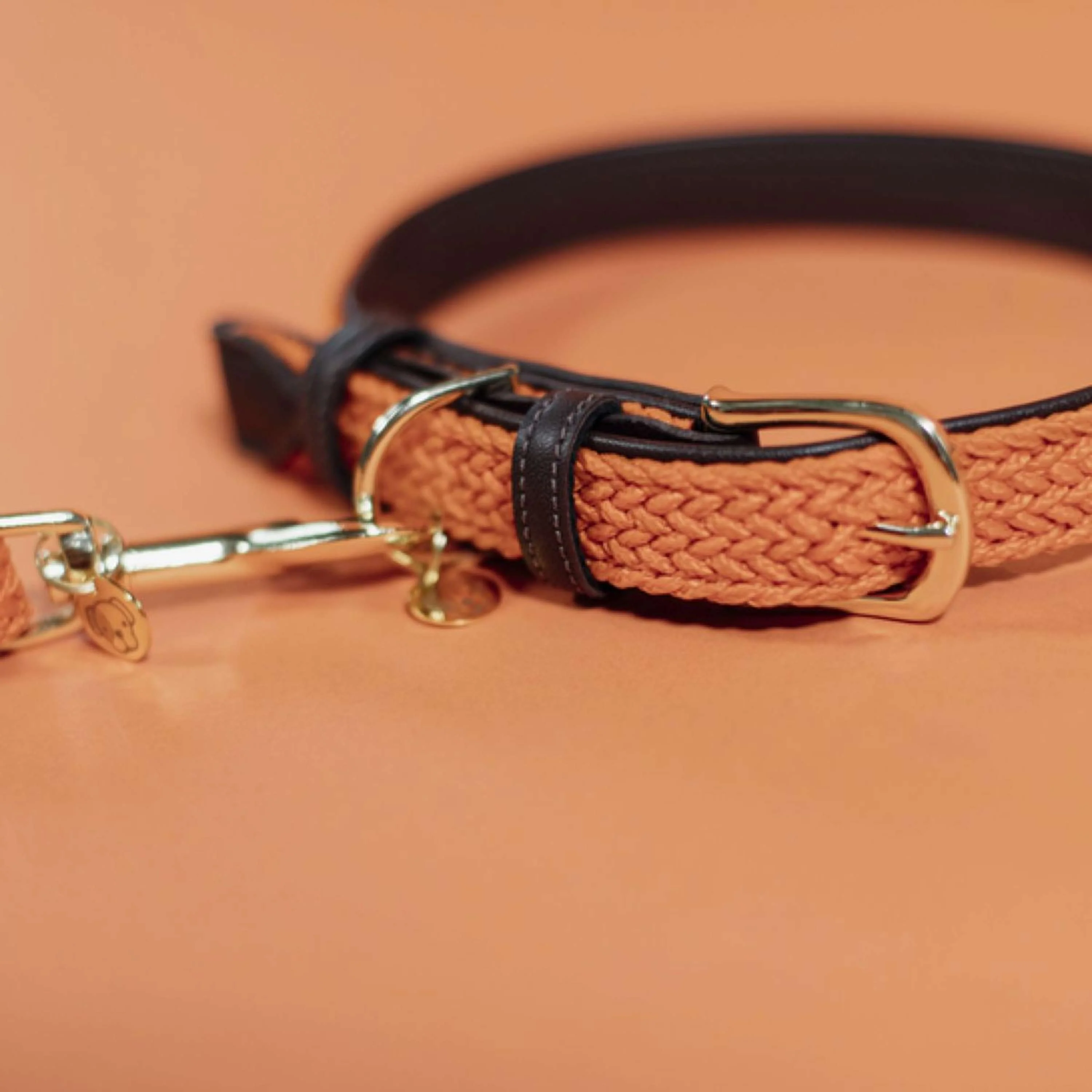 Kentucky Collier Plaited Nylon Orange - Image 3