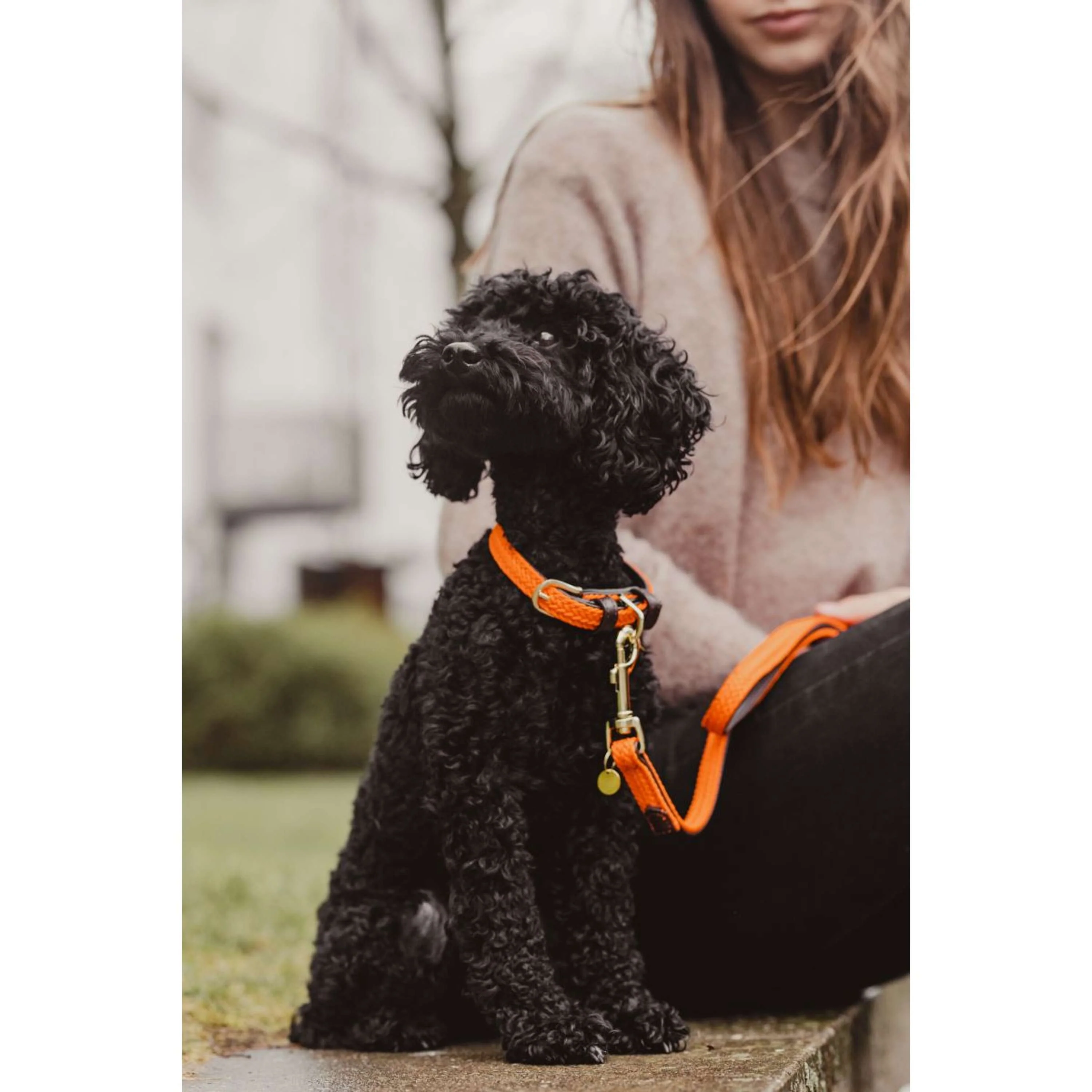 Kentucky Collier Plaited Nylon Orange - Image 8