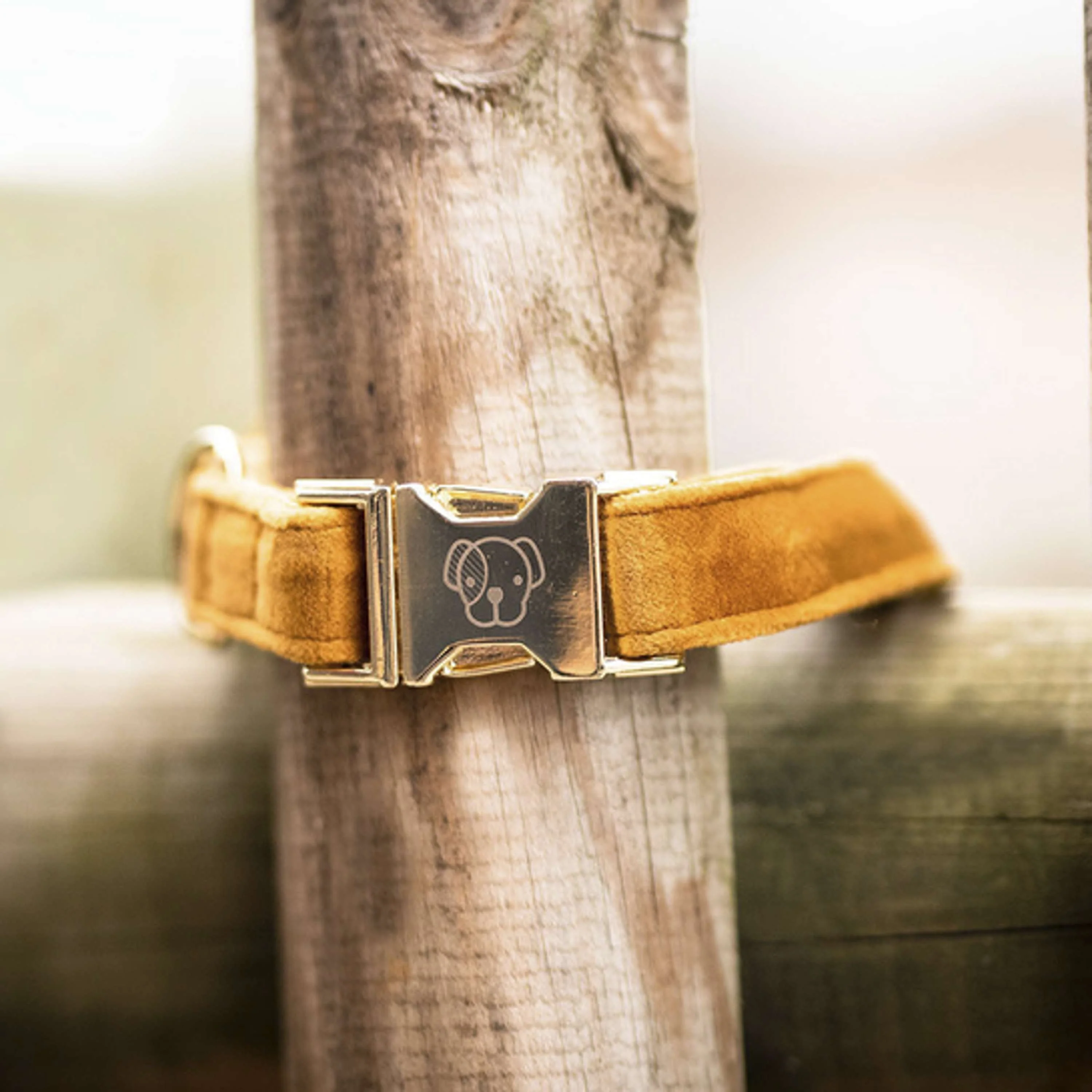 Kentucky Collier velours Moutarde - Image 3